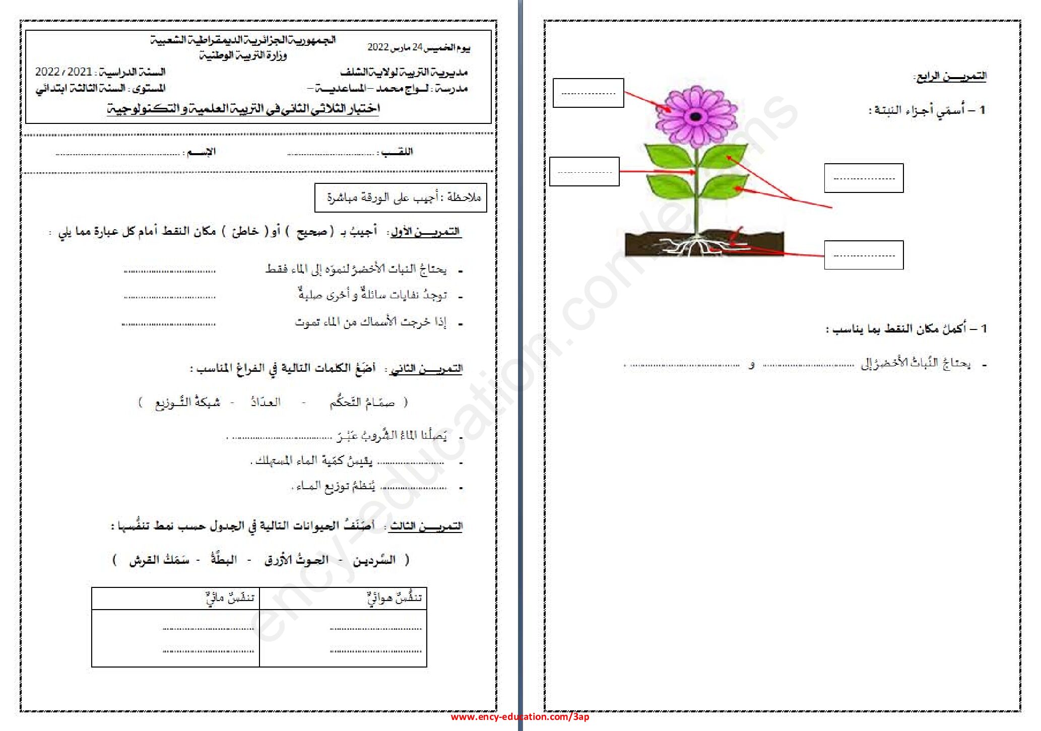 إختبار الفصل الثاني في التربية العلمية السنة الثالثة ابتدائي رقم 53