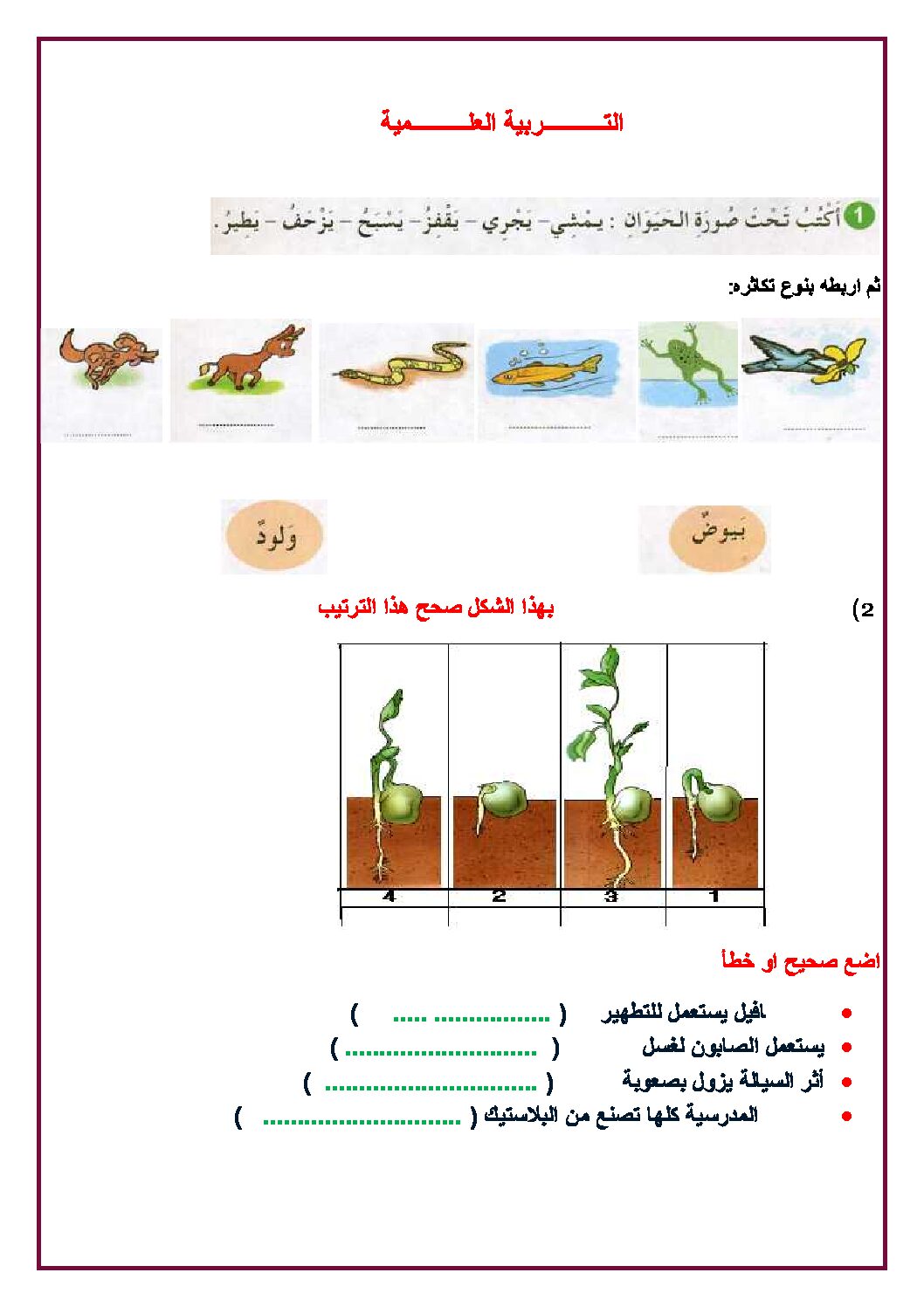 إختبار الفصل الثالث في التربية العلمية السنة الأولى ابتدائي رقم 06