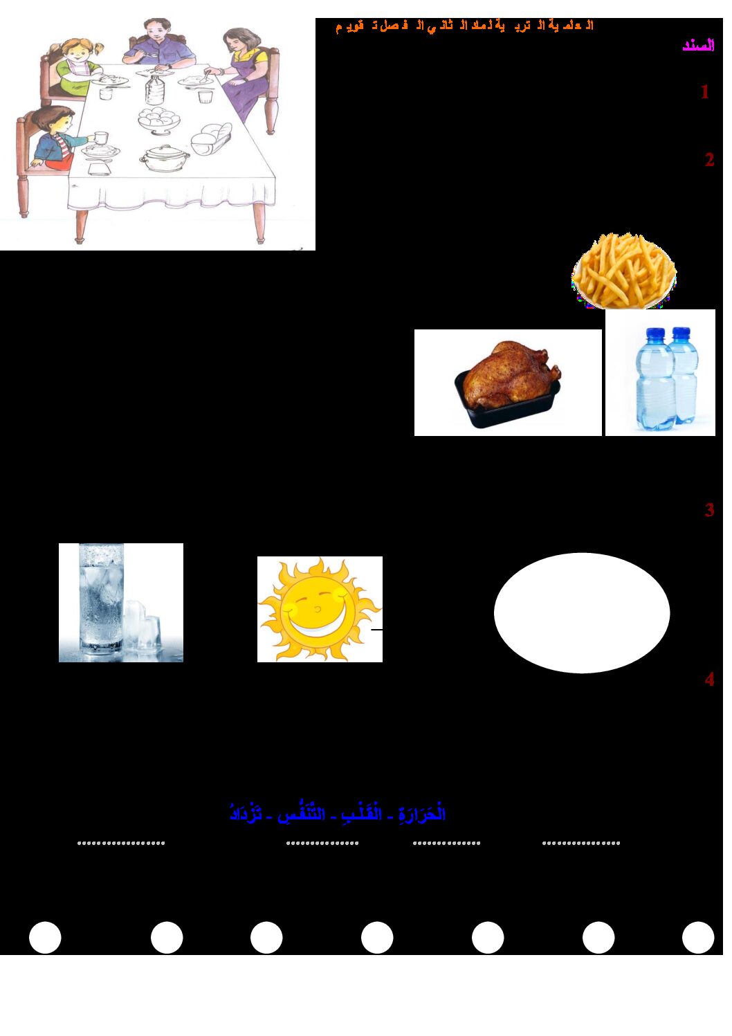 إختبار الفصل الثاني في التربية العلمية السنة الأولى ابتدائي رقم 09