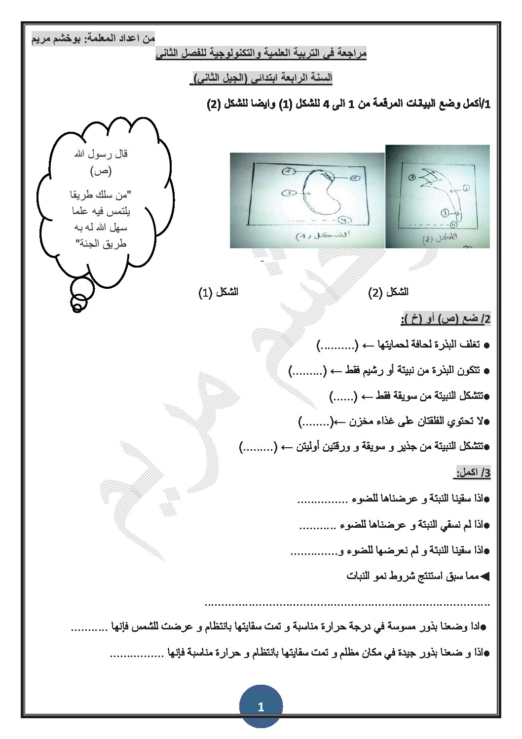 تمارين في التربية العلمية مع الحل الفصل الثاني للسنة 4 ابتدائي الجيل الثاني