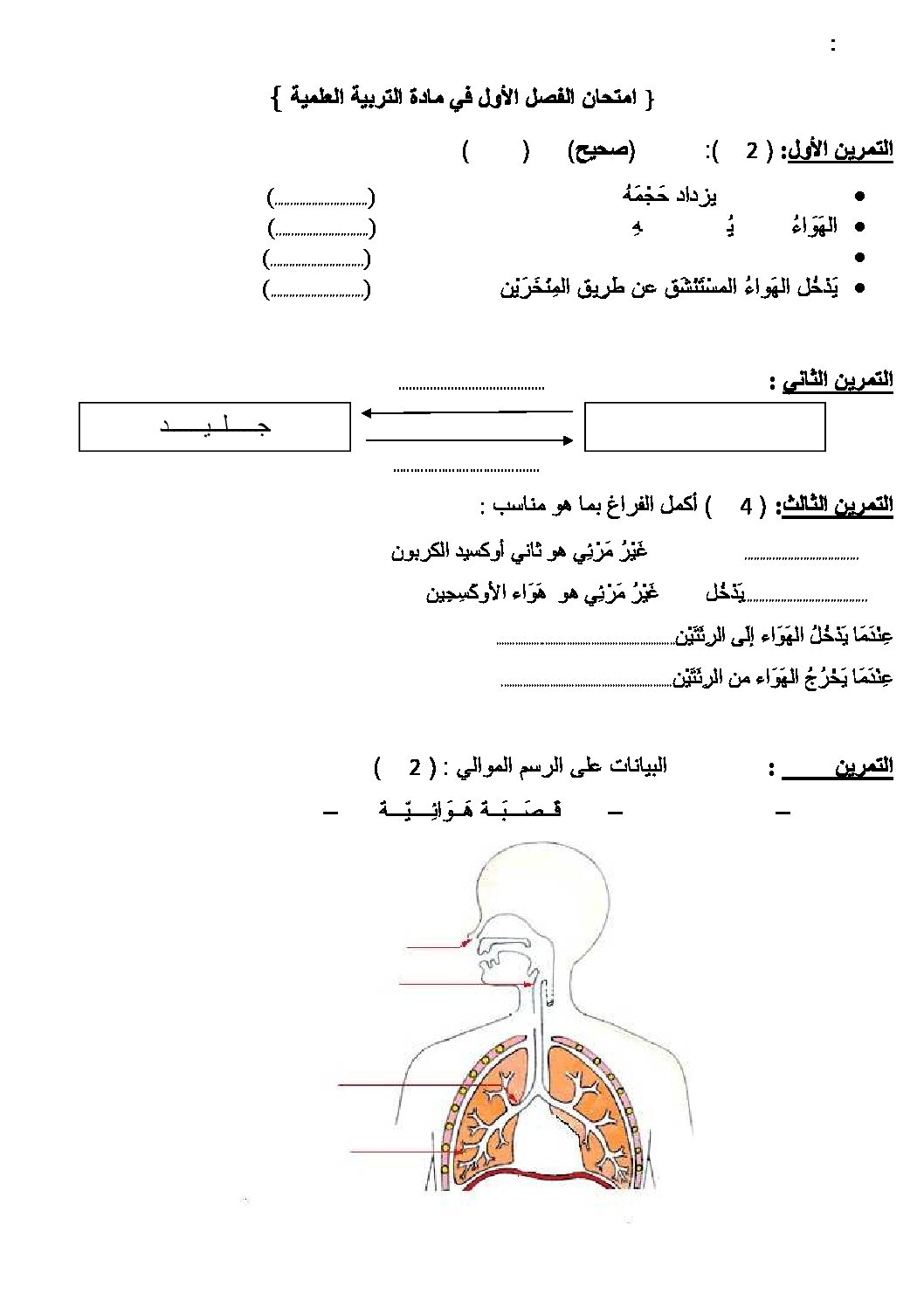 إختبار الفصل الأول في التربية العلمية السنة الرابعة ابتدائي رقم 13