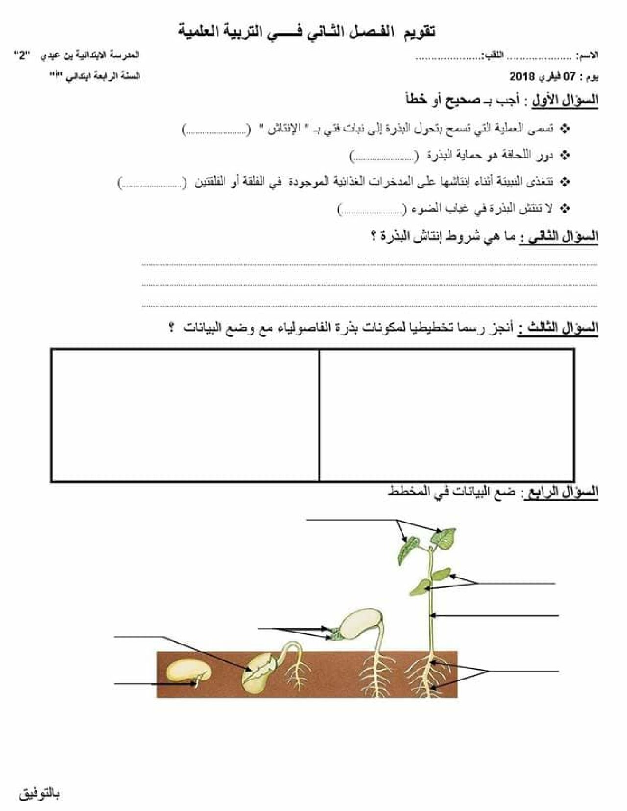 إختبار الفصل الثاني في التربية العلمية السنة الرابعة ابتدائي رقم 25
