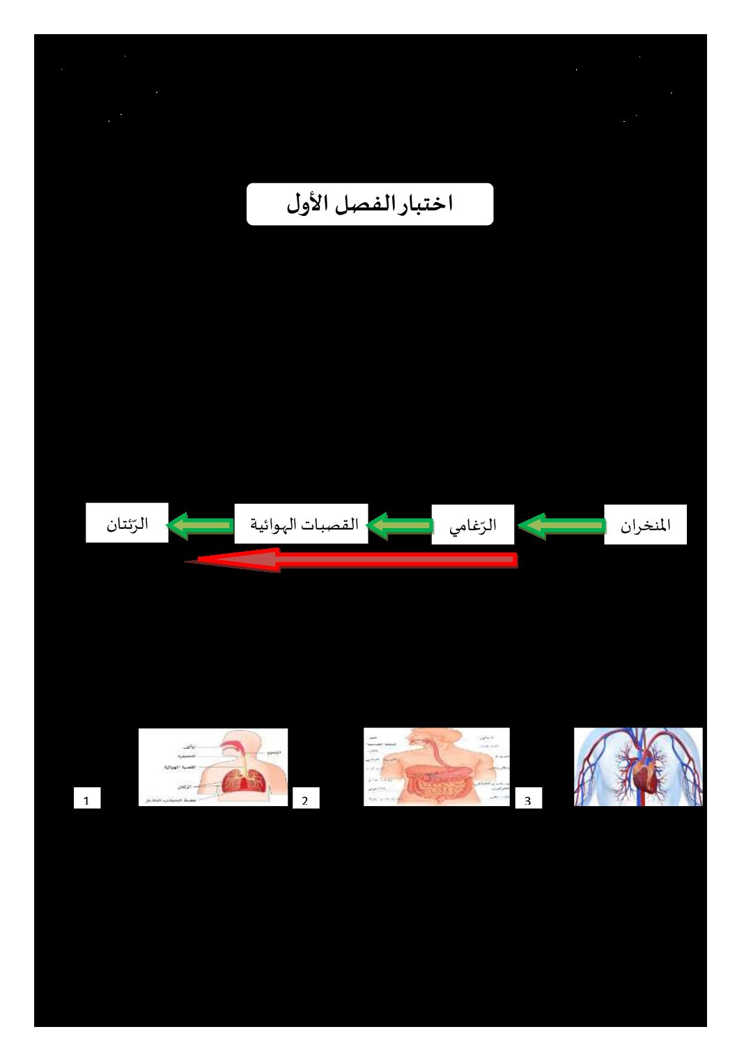 إختبار الفصل الأول في التربية العلمية السنة الرابعة ابتدائي رقم 27 مع التصحيح