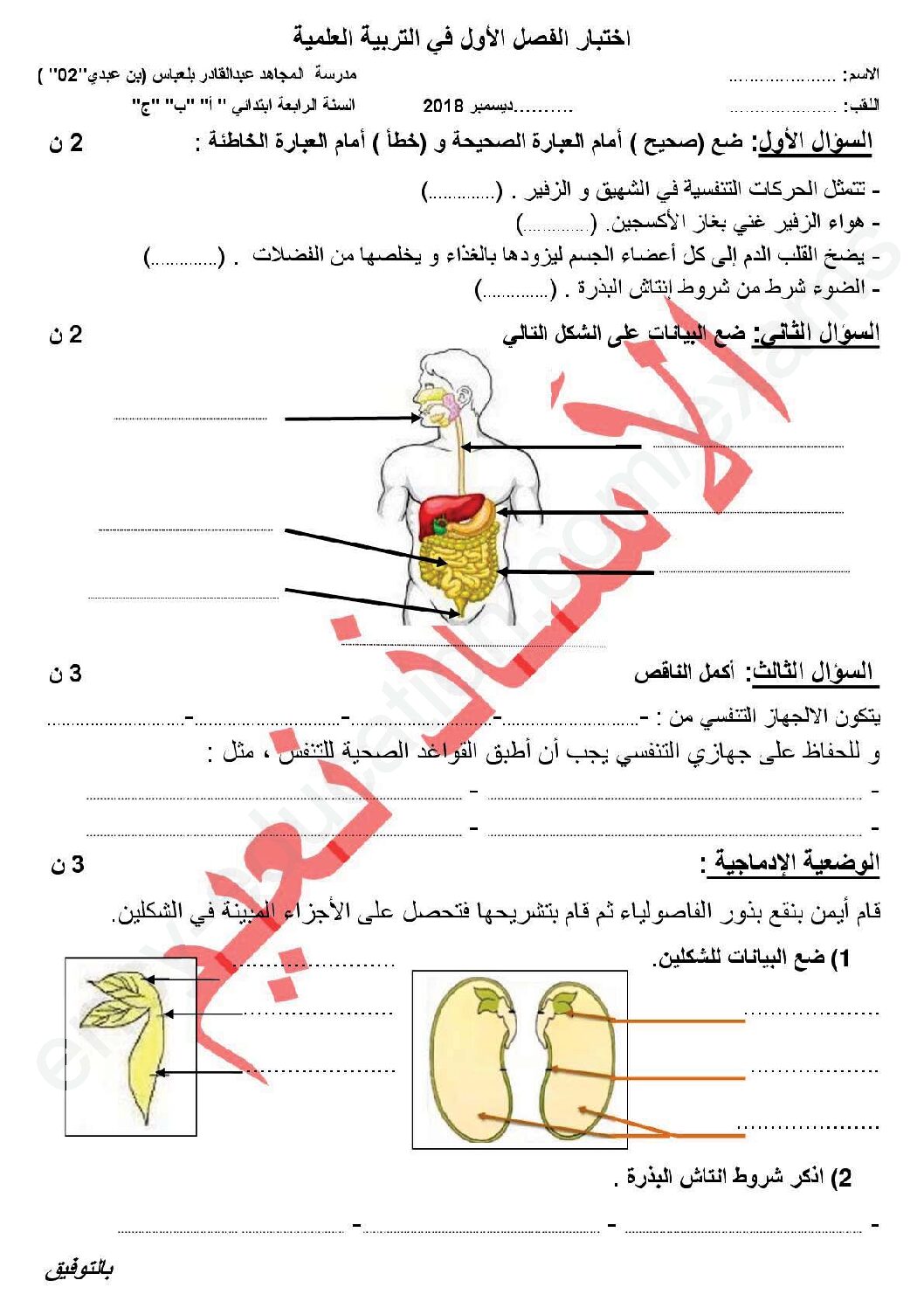 إختبار الفصل الأول في التربية العلمية السنة الرابعة ابتدائي رقم 29