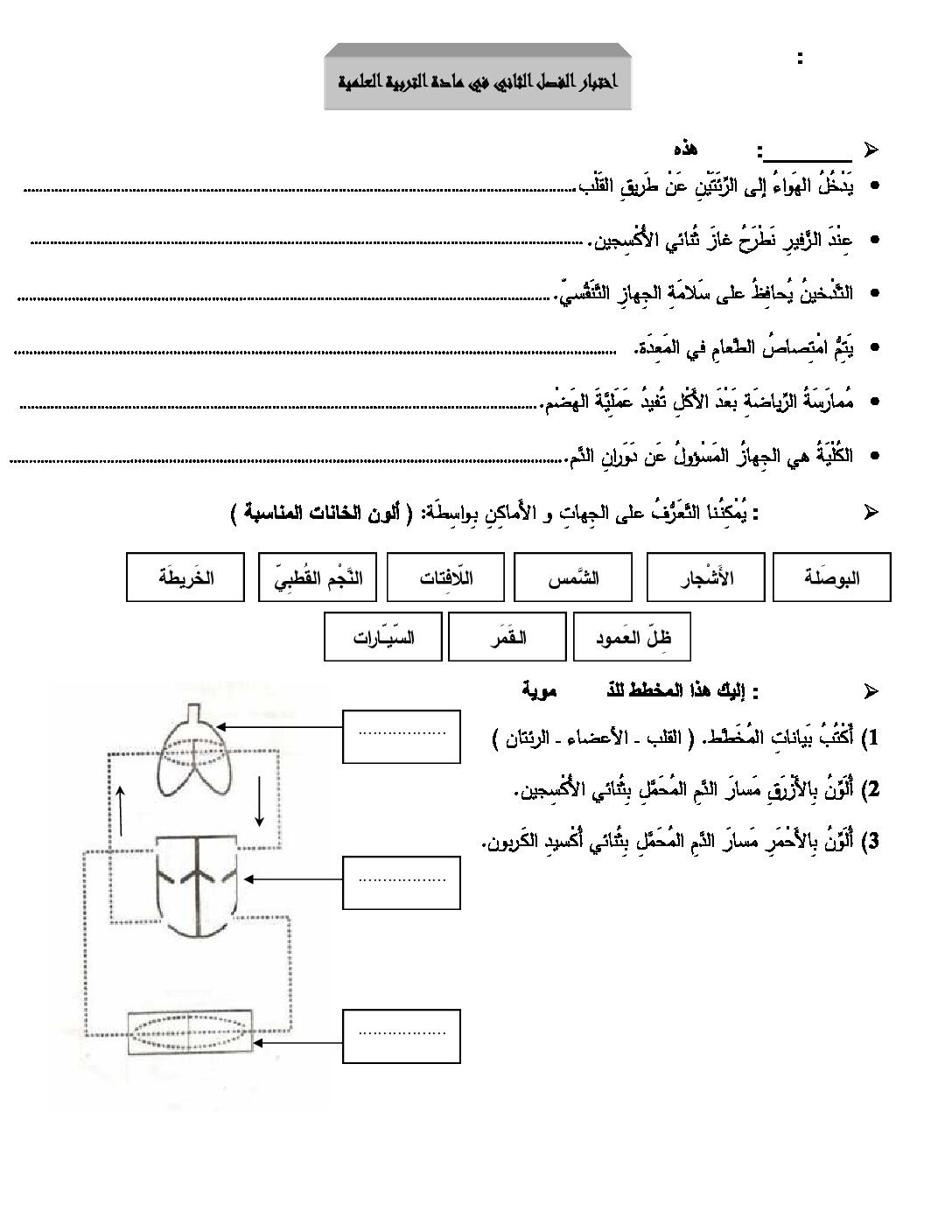 إختبار الفصل الثاني في التربية العلمية السنة الرابعة ابتدائي رقم 08