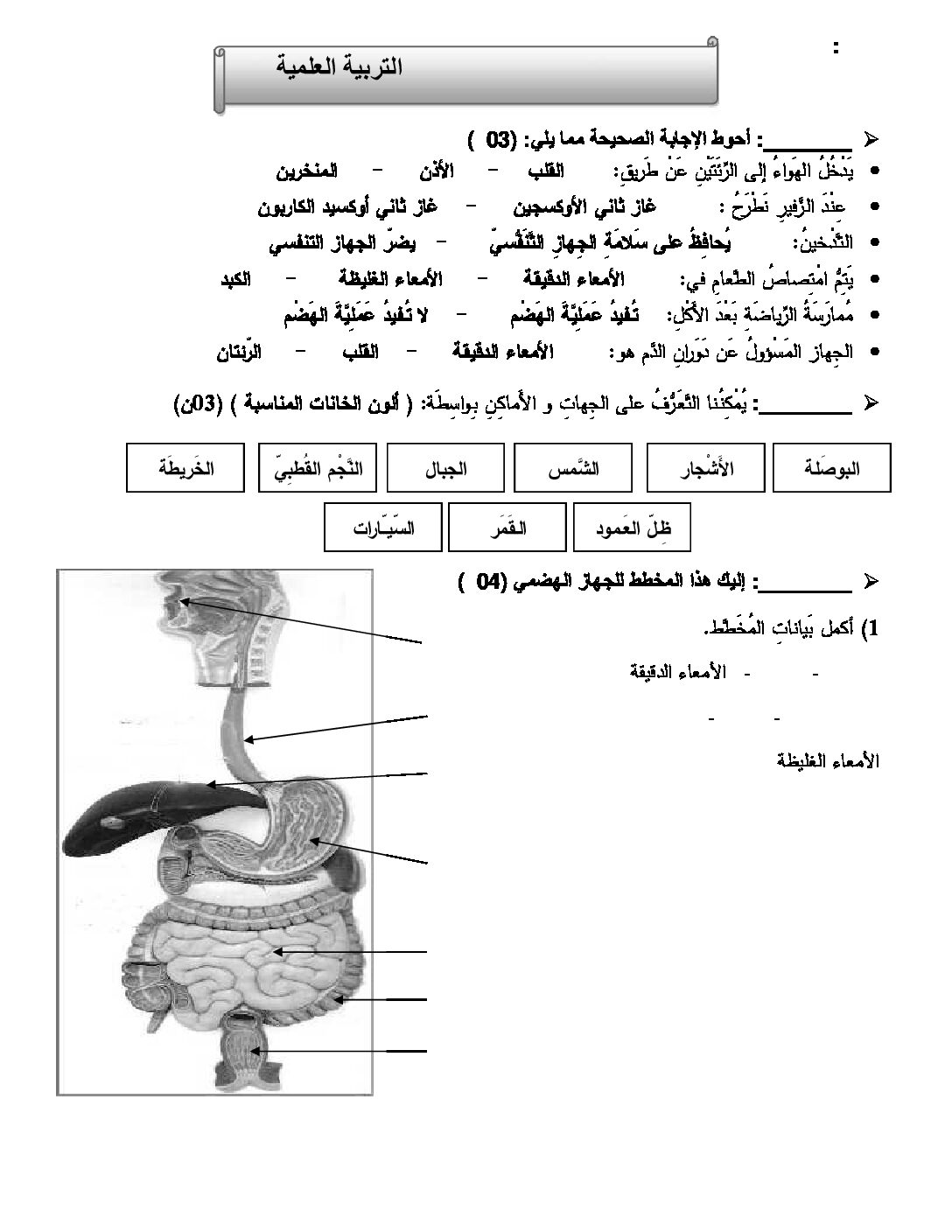إختبار الفصل الثاني في التربية العلمية السنة الرابعة ابتدائي رقم 09