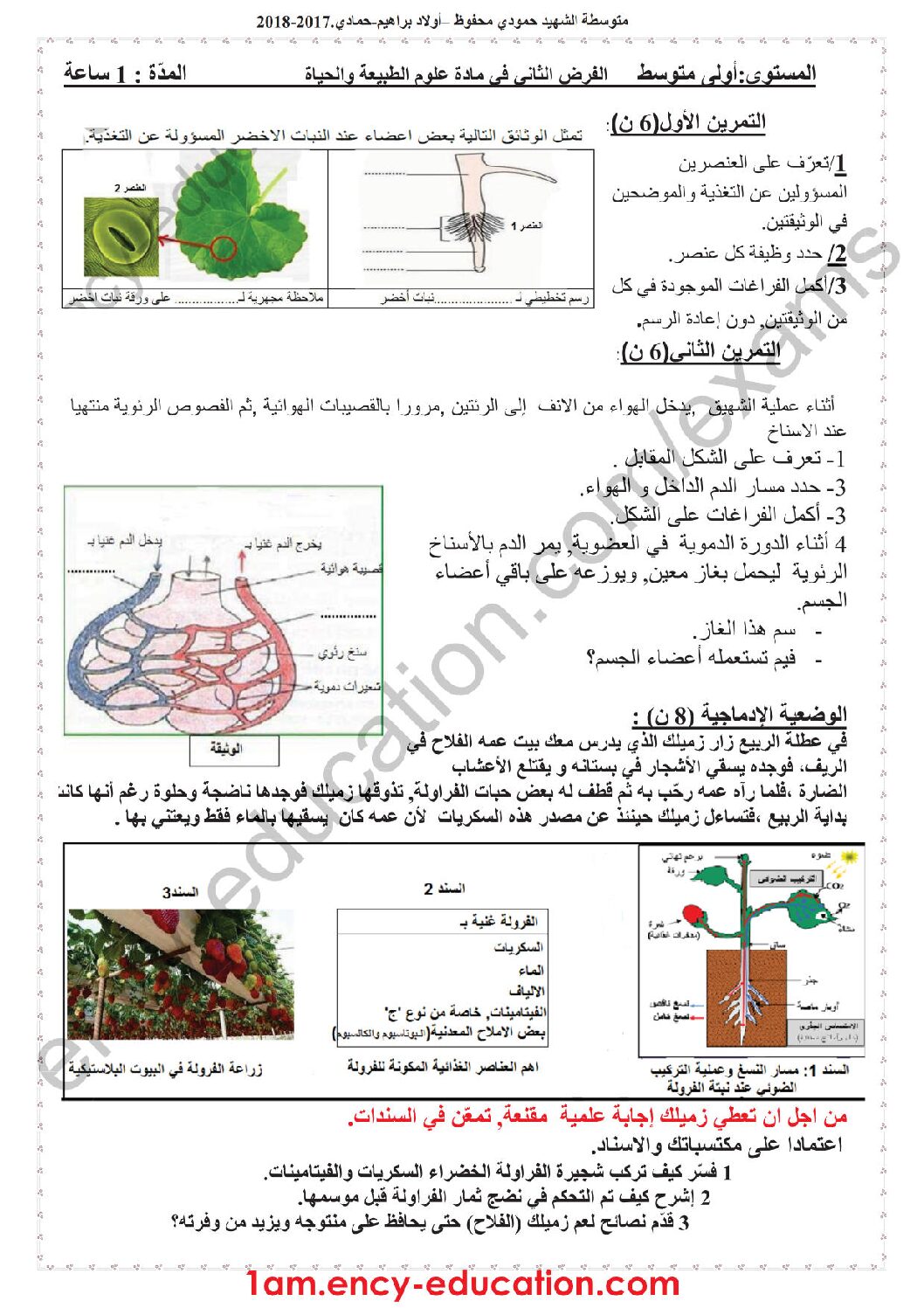 فرض في العلوم الطبيعية الفصل الثاني السنة الأولى متوسط رقم 15 مع التصحيح