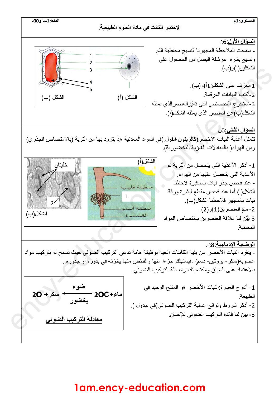 اختبار في العلوم الطبيعية الفصل الثالث السنة الأولى متوسط رقم 19