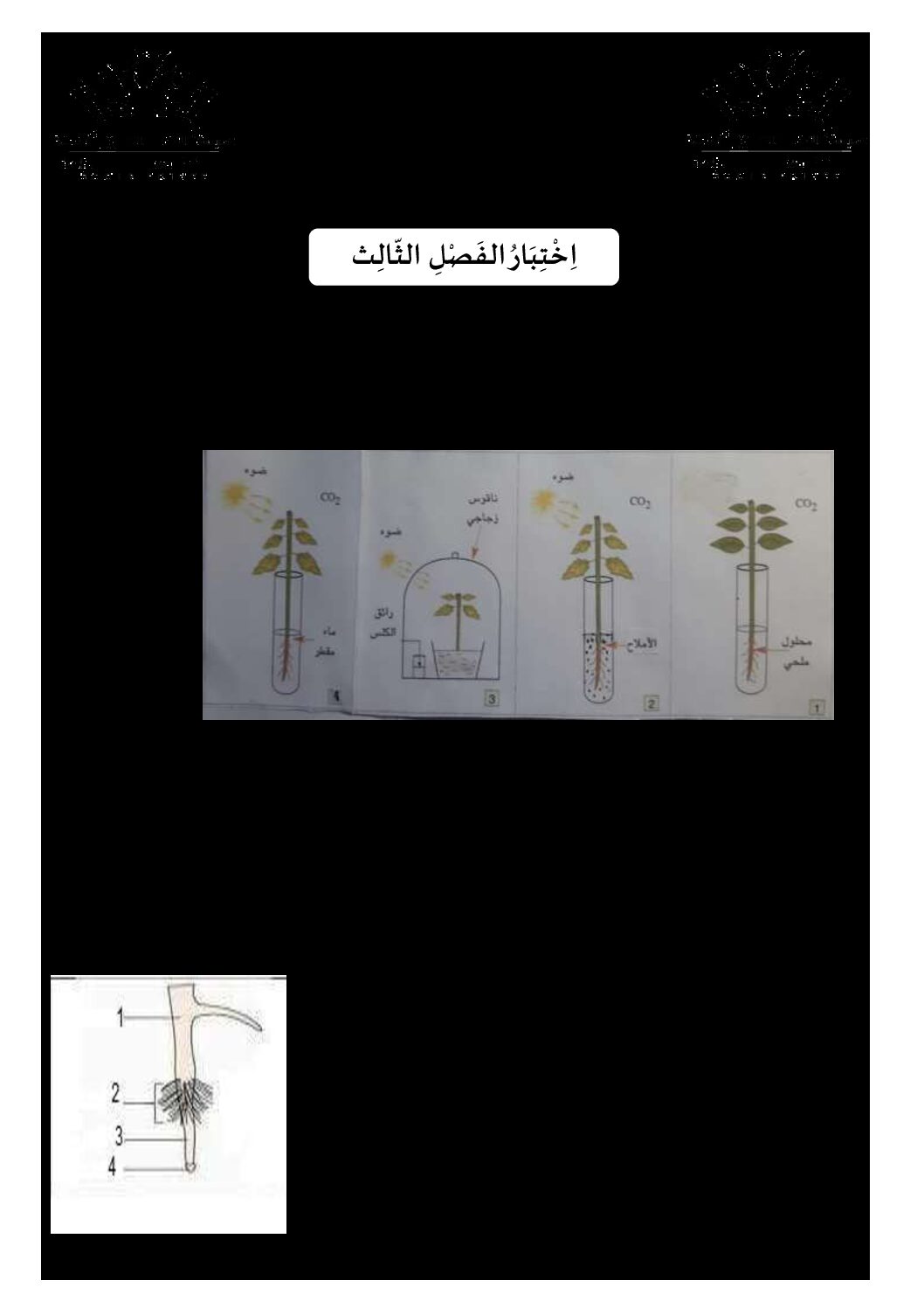 اختبار في العلوم الطبيعية الفصل الثالث السنة الأولى متوسط رقم 23