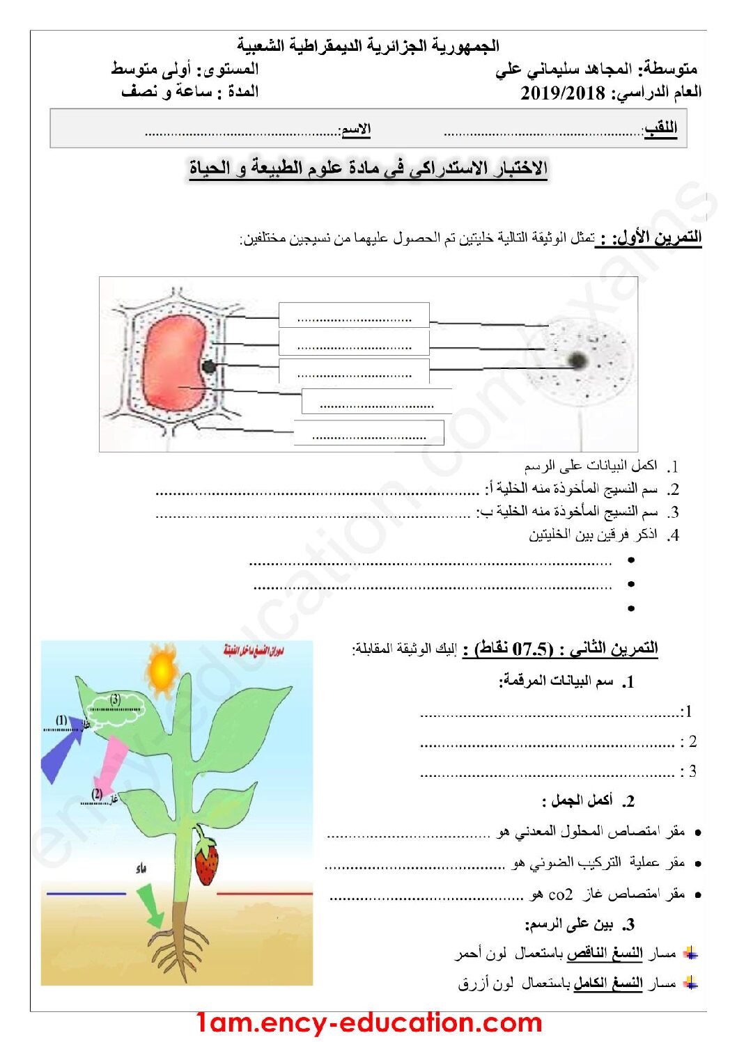 اختبار في العلوم الطبيعية الفصل الثالث السنة الأولى متوسط رقم 25