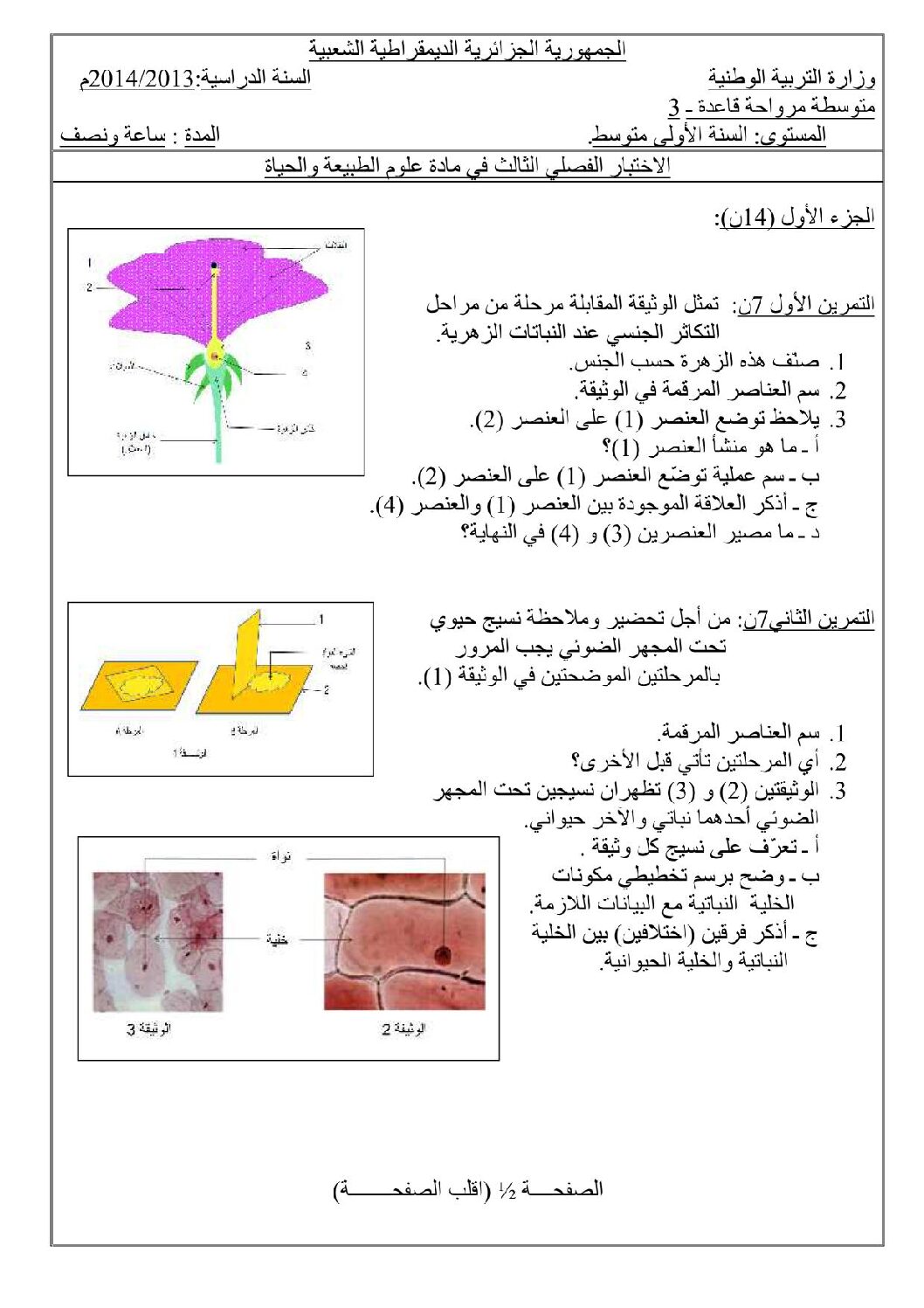 اختبار في العلوم الطبيعية الفصل الثالث السنة الأولى متوسط رقم 03