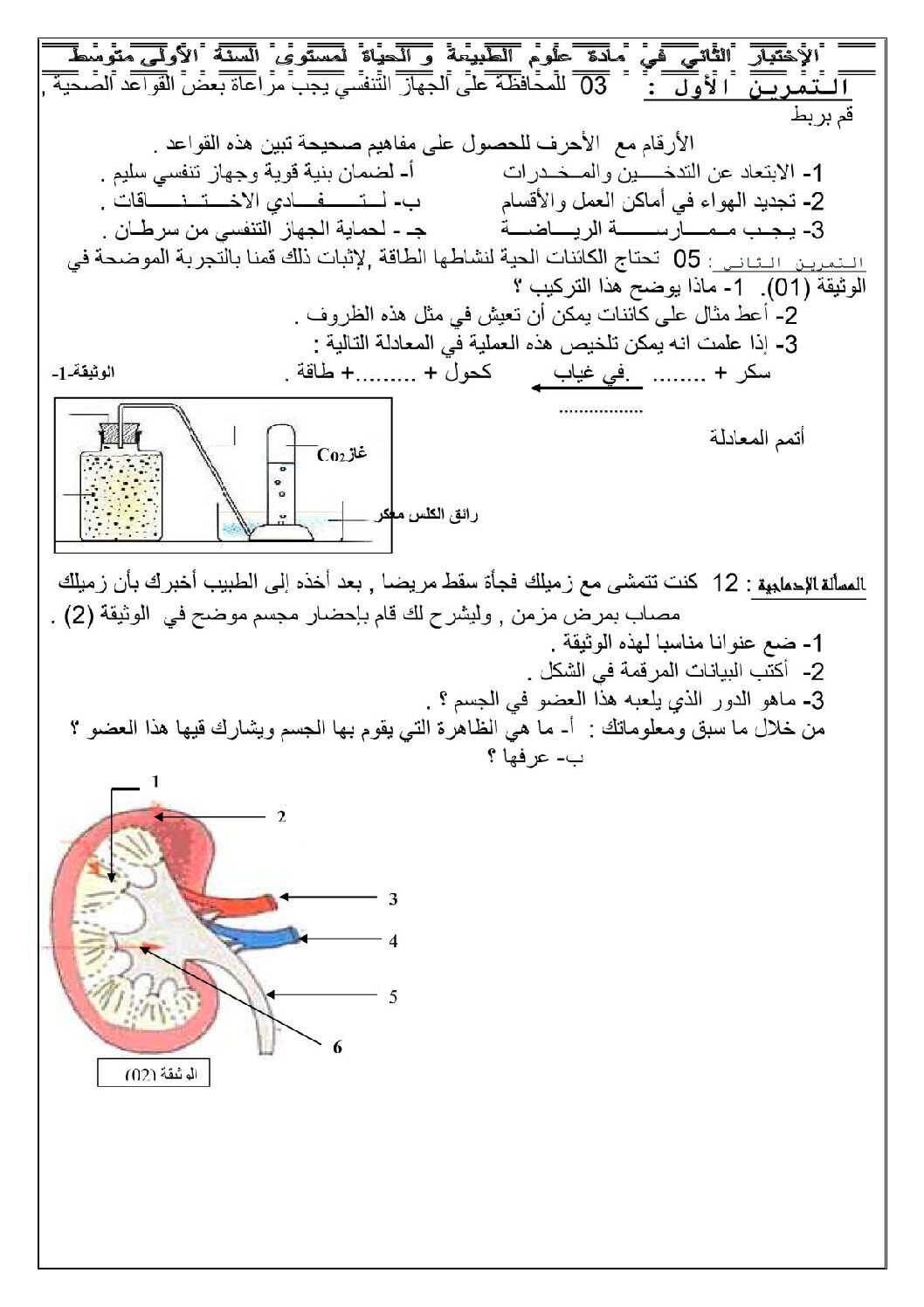 اختبار في العلوم الطبيعية الفصل الثاني السنة الأولى متوسط رقم 04 مع التصحيح
