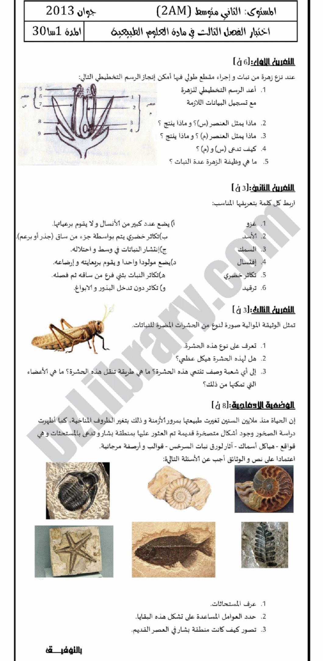 اختبار في العلوم الطبيعية الفصل الثالث السنة الثانية متوسط رقم 1 مع التصحيح