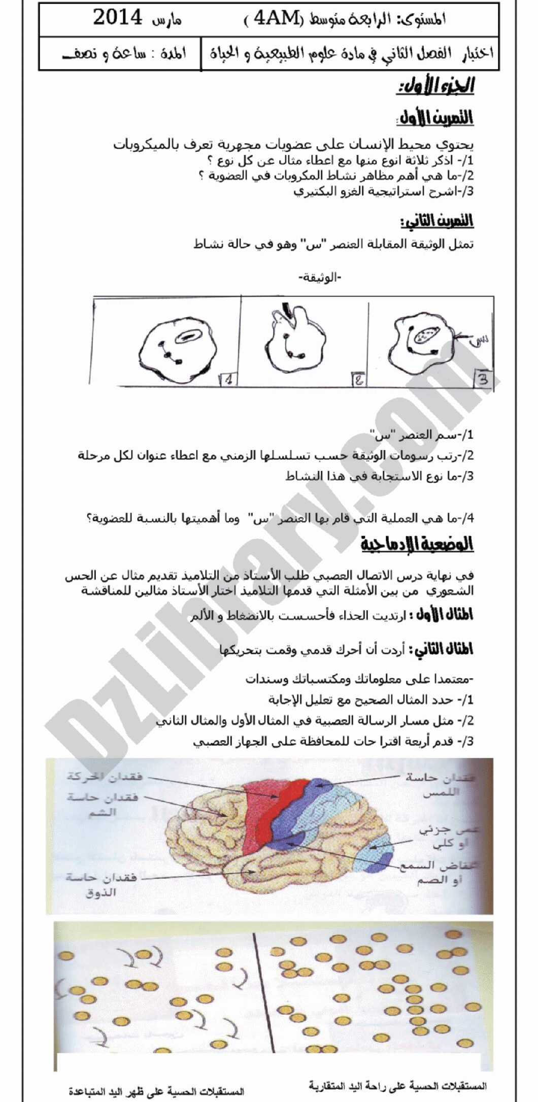 اختبار في العلوم الطبيعية الفصل الثاني السنة الرابعة متوسط رقم 1 مع التصحيح
