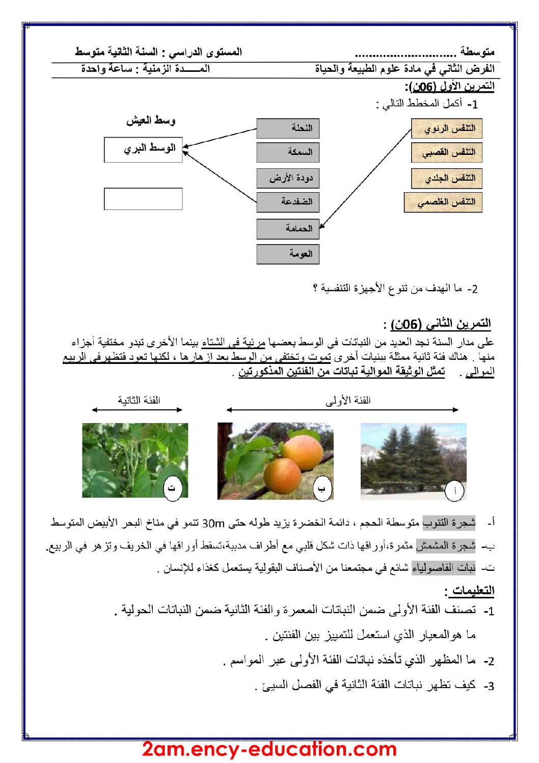 فرض في العلوم الطبيعية الفصل الثاني السنة الثانية متوسط رقم 11
