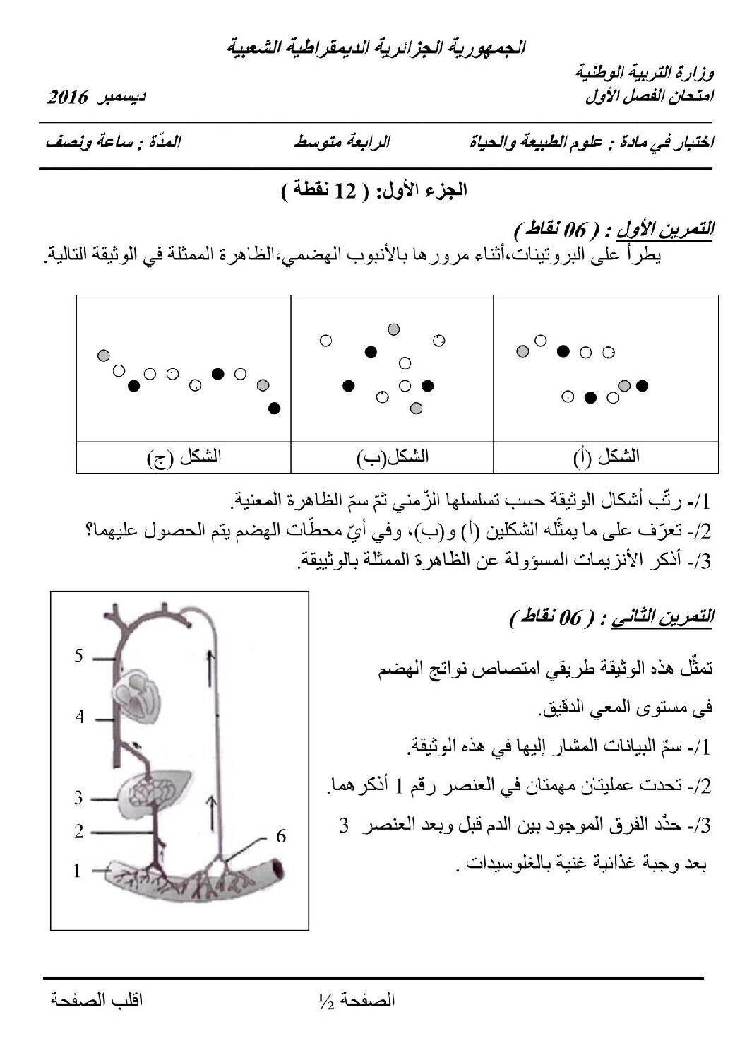 اختبار  في العلوم الطبيعية الفصل الأول السنة الرابعة متوسط رقم 13 مع التصحيح