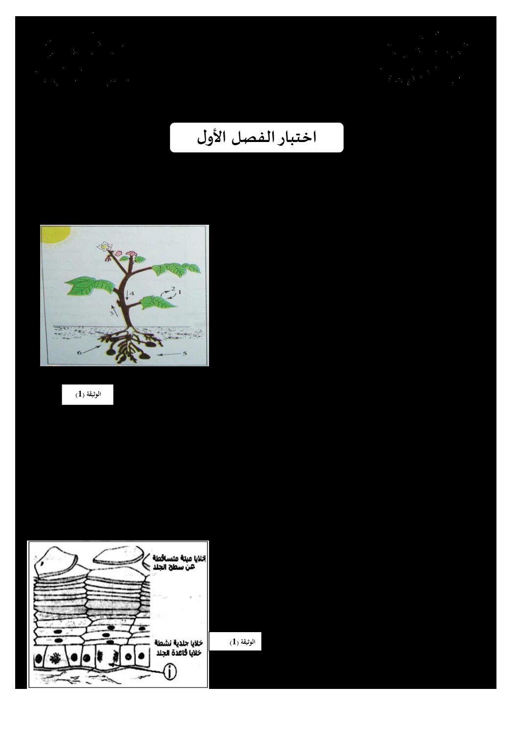 اختبار في العلوم الطبيعية الفصل الأول السنة الأولى ثانوي رقم 19 مع التصحيح