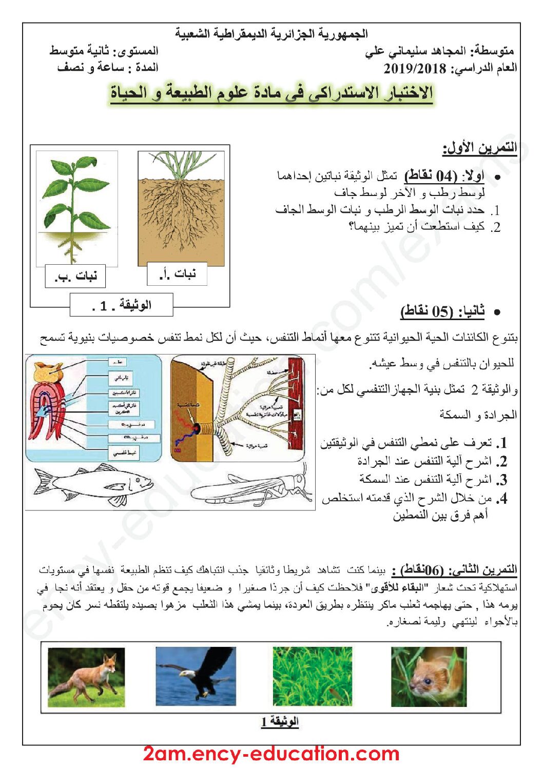 اختبار في العلوم الطبيعية الفصل الثالث السنة الثانية متوسط رقم 19