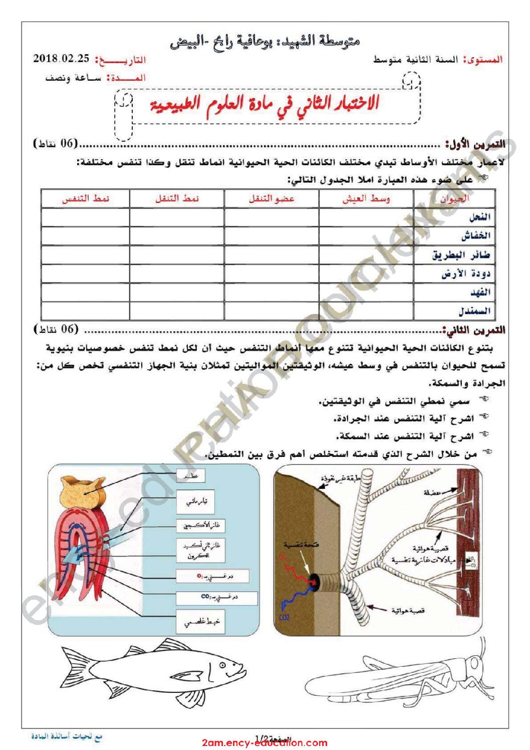 اختبار في العلوم الطبيعية الفصل الثاني السنة الثانية متوسط رقم 24