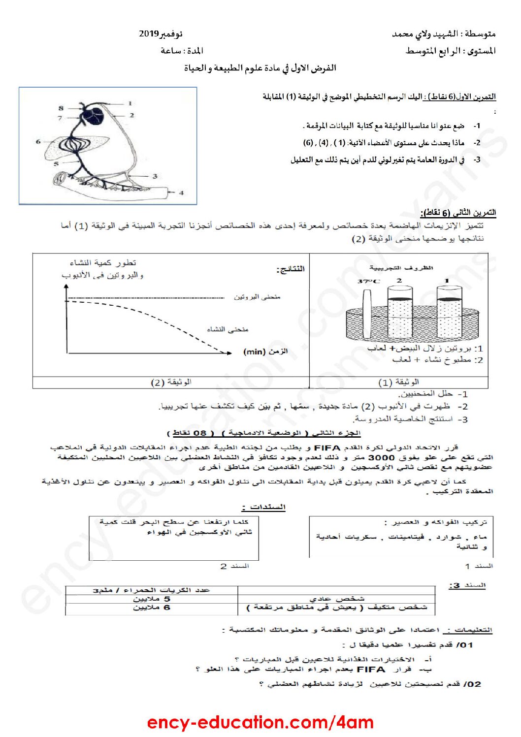 فرض في العلوم الطبيعية الفصل الأول السنة الرابعة متوسط رقم 28