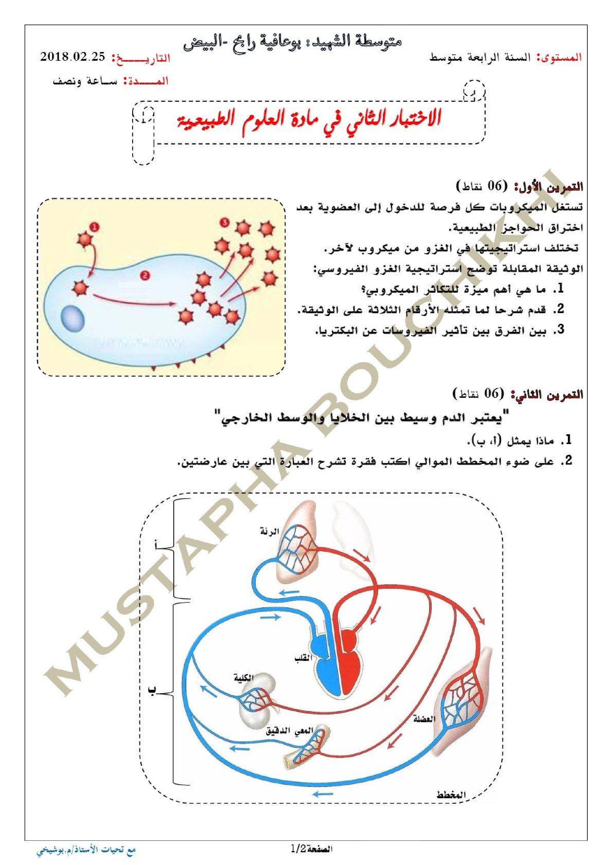 اختبار في العلوم الطبيعية الفصل الثاني السنة الرابعة متوسط رقم 31