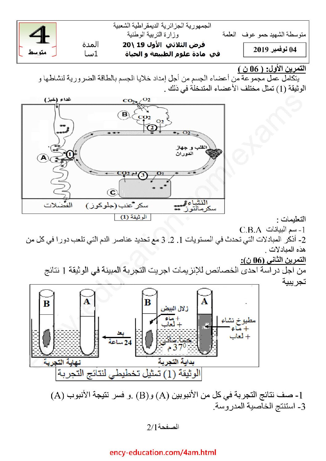 فرض في العلوم الطبيعية الفصل الأول السنة الرابعة متوسط رقم 31