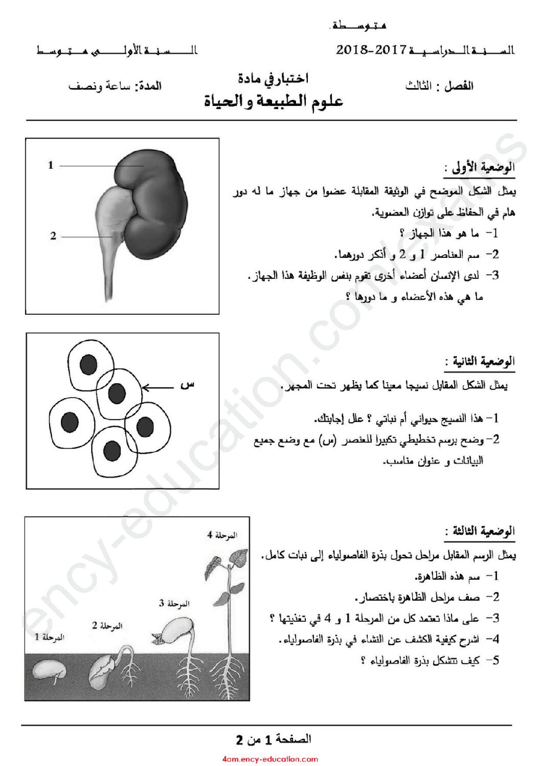 اختبار في العلوم الطبيعية الفصل الثالث السنة الرابعة متوسط رقم 33