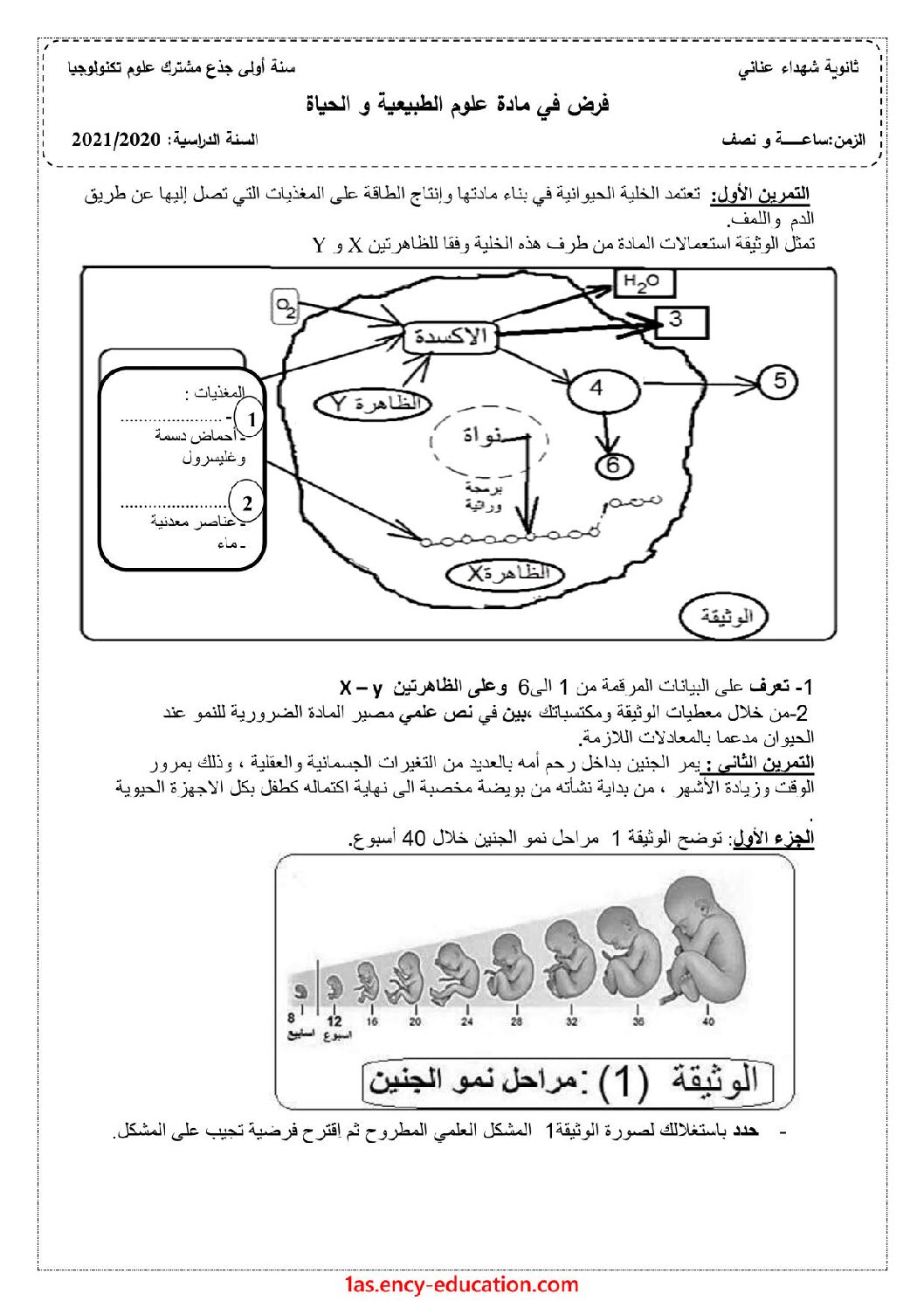 فرض في العلوم الطبيعية الفصل الأول السنة الأولى ثانوي رقم 33 مع التصحيح