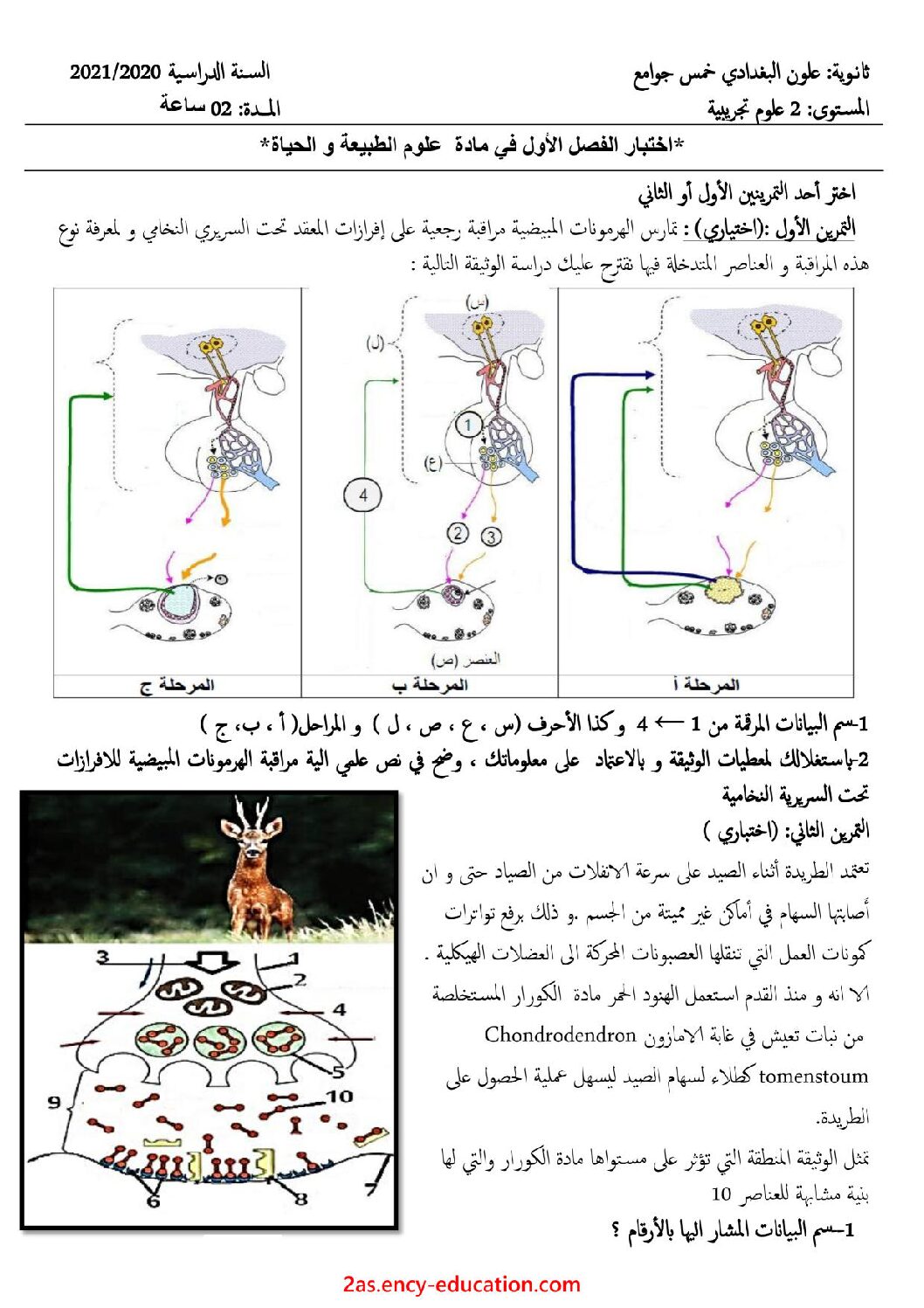 اختبار في العلوم الطبيعية الفصل الأول السنة الثانية ثانوي علوم تجريبية رقم 39