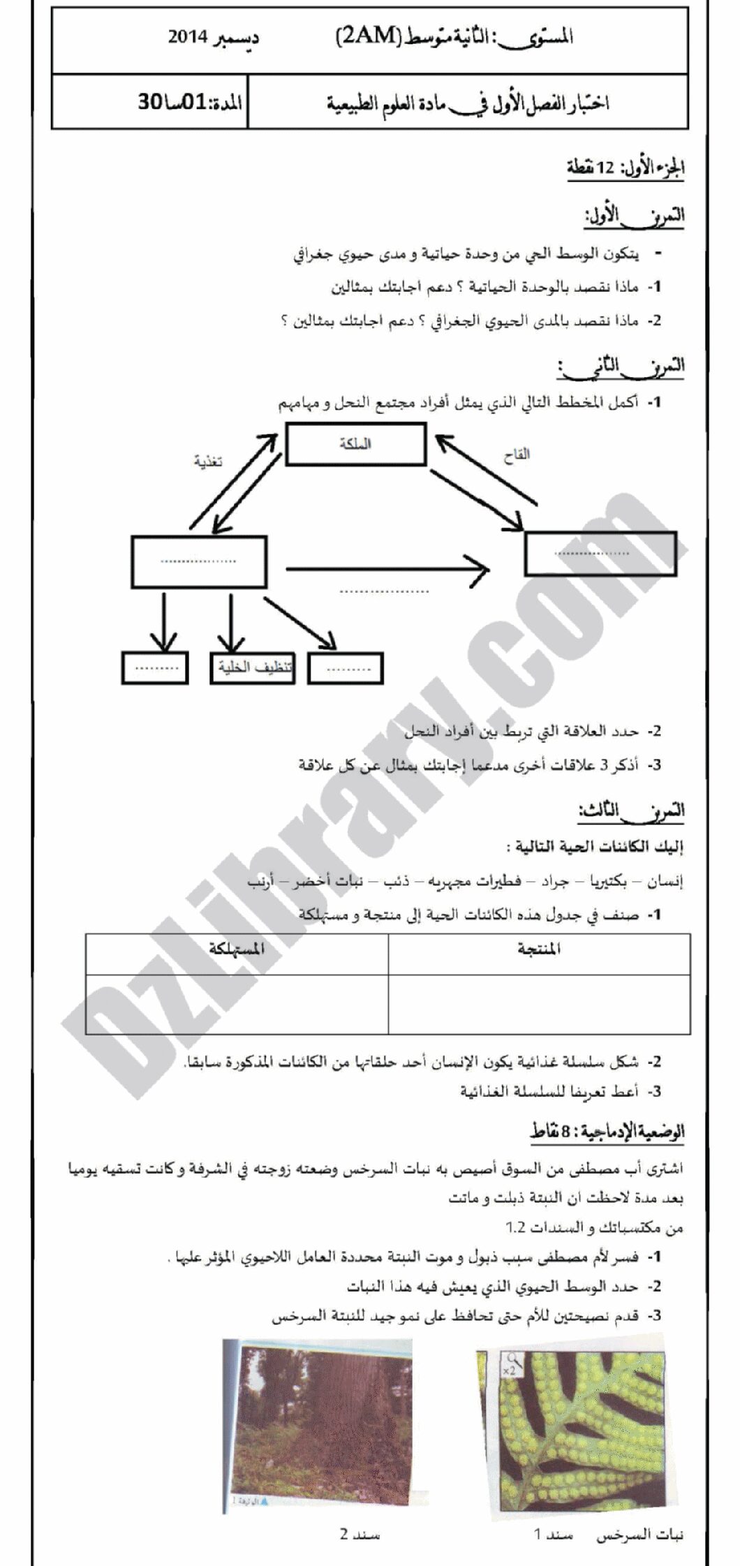 اختبار في العلوم الطبيعية الفصل الأول السنة الثانية متوسط رقم 4 مع التصحيح