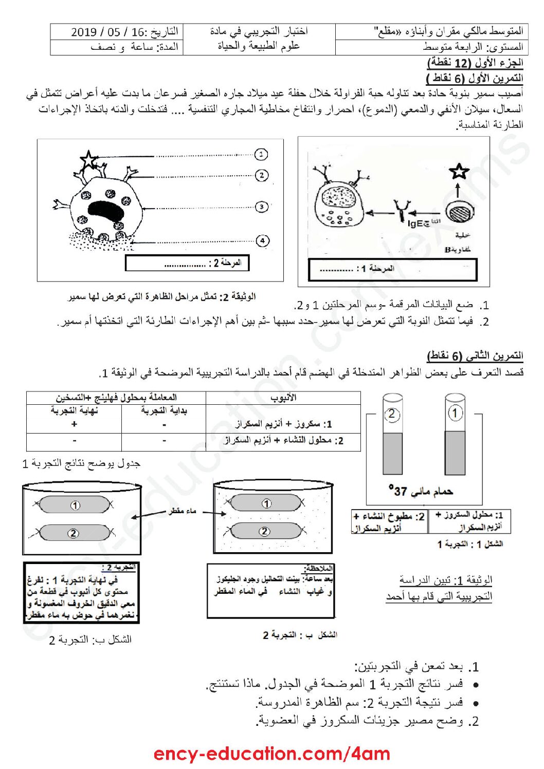 اختبار في العلوم الطبيعية الفصل الثالث السنة الرابعة متوسط رقم 44 مع التصحيح