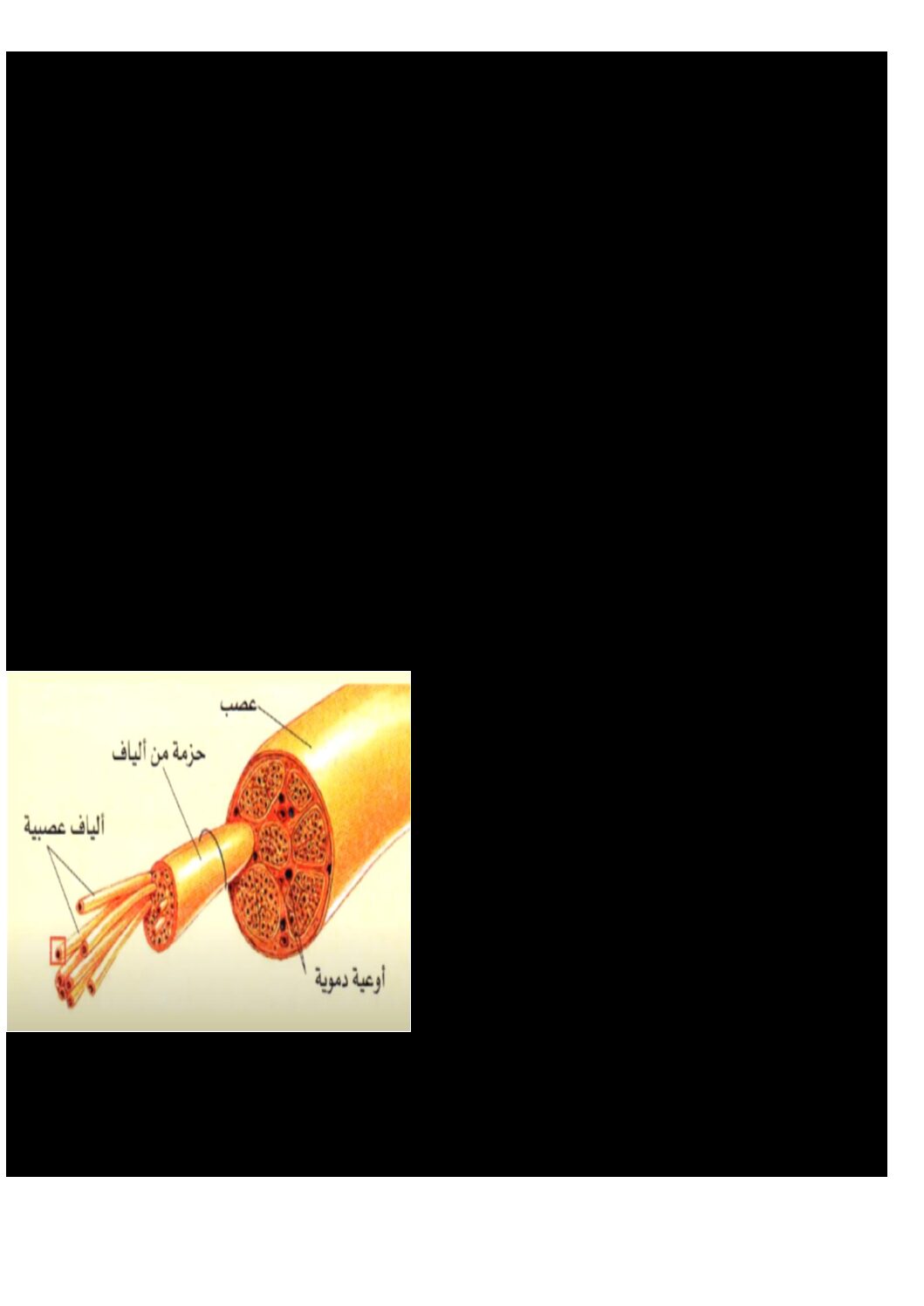 اختبار في العلوم الطبيعية الفصل الثاني السنة الرابعة متوسط رقم 53 مع التصحيح