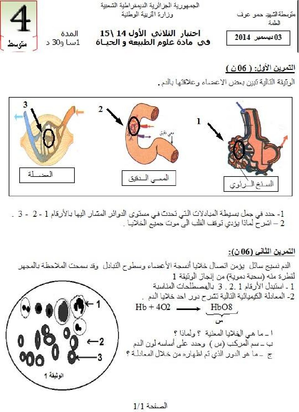 اختبار  في العلوم الطبيعية الفصل الأول السنة الرابعة متوسط رقم 6 مع التصحيح