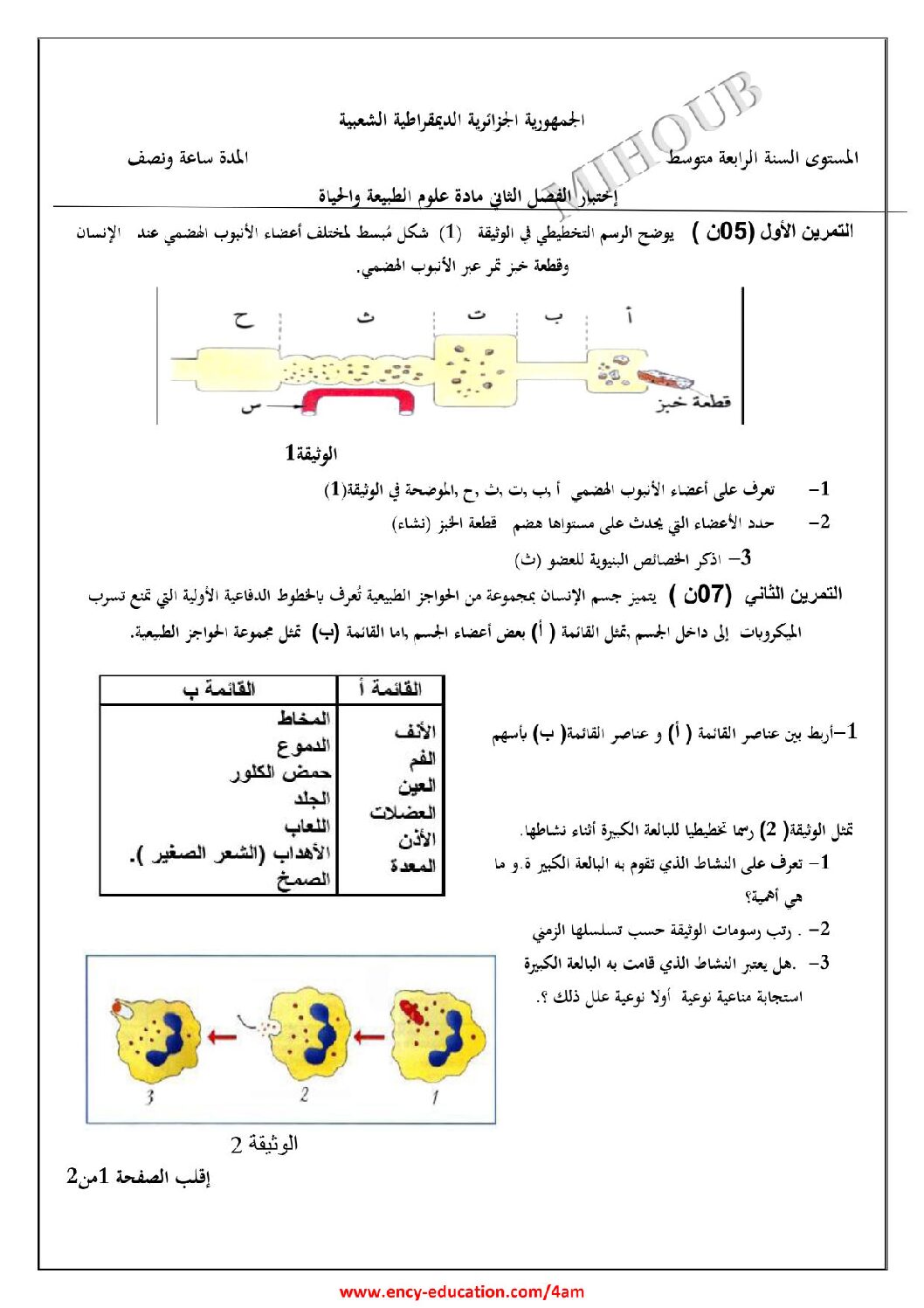 اختبار في العلوم الطبيعية الفصل الثاني السنة الرابعة متوسط رقم 61