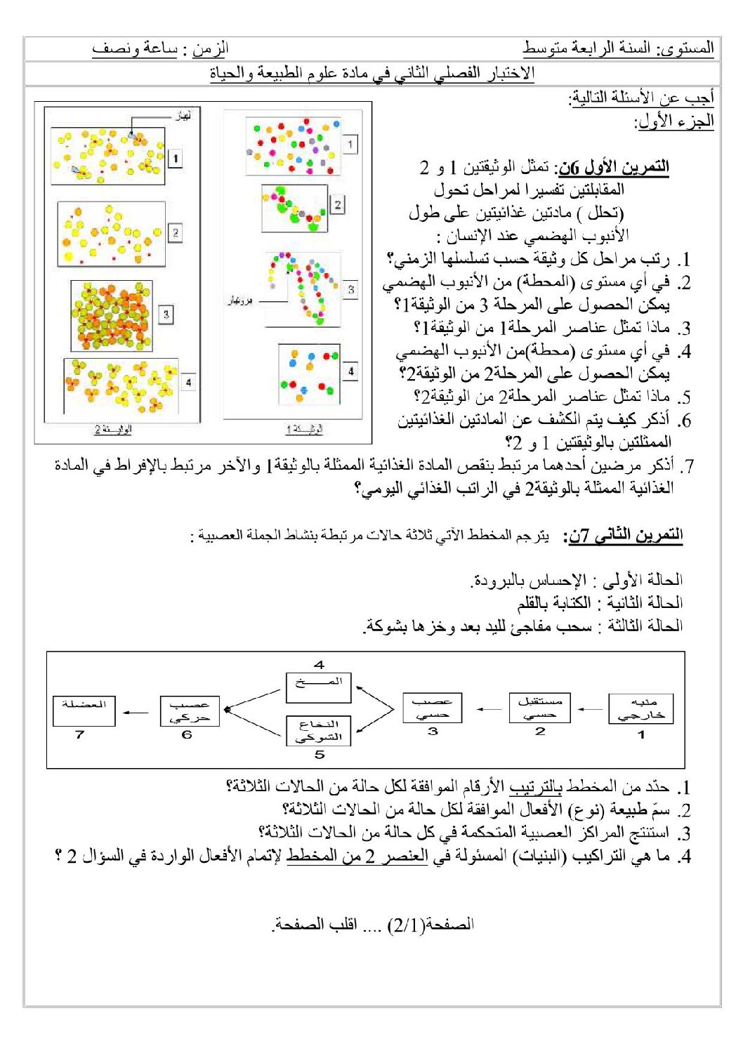 اختبار في العلوم الطبيعية الفصل الثاني السنة الرابعة متوسط رقم 8