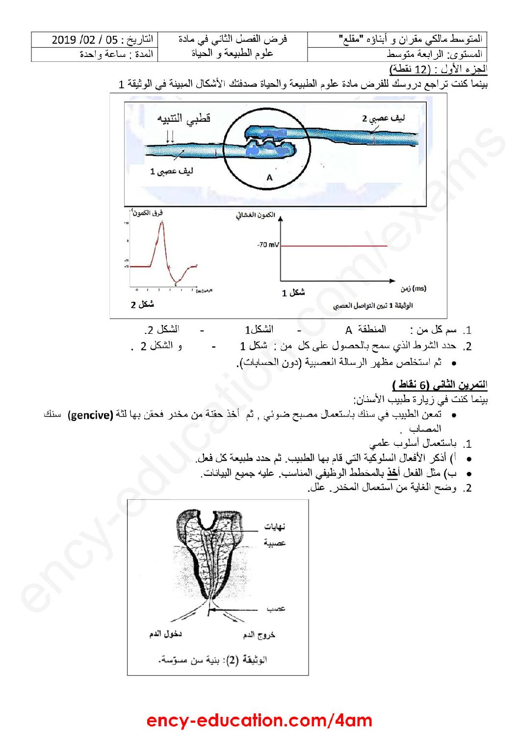 فرض في العلوم الطبيعية الفصل الثاني السنة الرابعة متوسط رقم 8 مع التصحيح