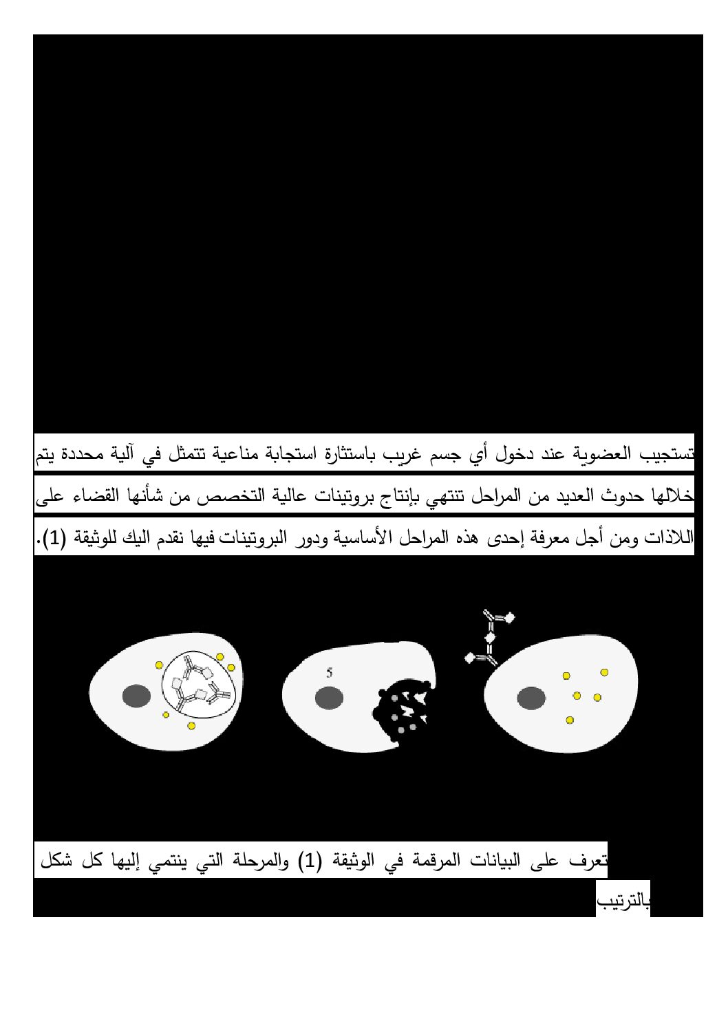 اختبار في العلوم الطبيعية الفصل الأول السنة الثالثة ثانوي علوم تجريبية رقم 106