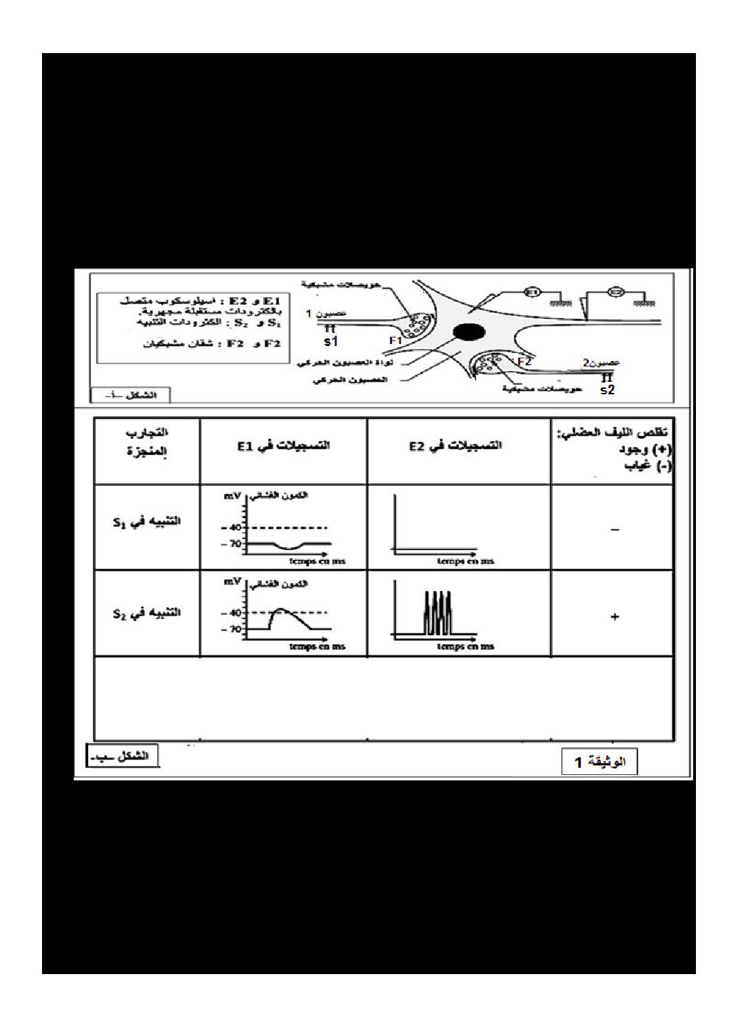 فرض في العلوم الطبيعية الفصل الثاني السنة الثالثة ثانوي علوم تجريبية رقم 11