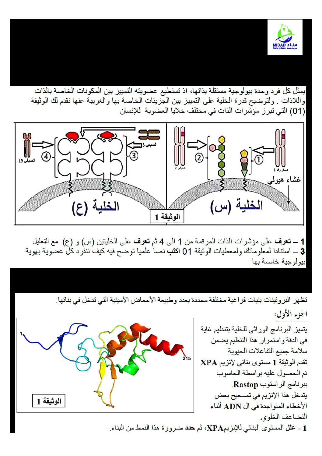 اختبار في العلوم الطبيعية الفصل الأول السنة الثالثة ثانوي علوم تجريبية رقم 113