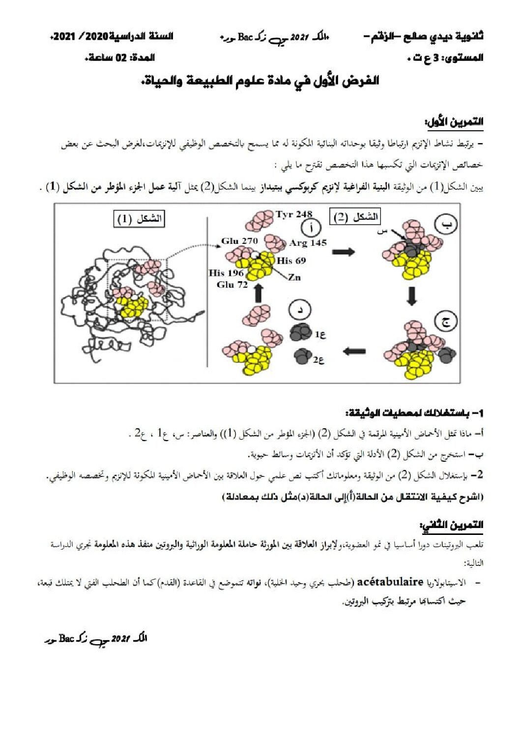 فرض في العلوم الطبيعية الفصل الأول السنة الثالثة ثانوي علوم تجريبية رقم 27 مع التصحيح