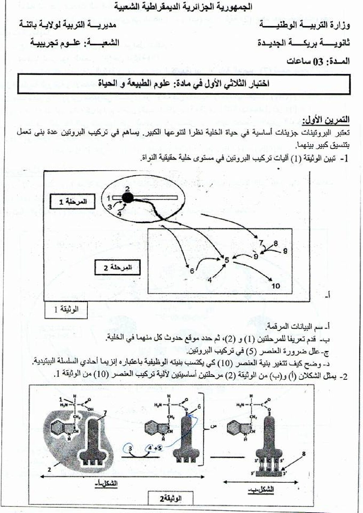 اختبار في العلوم الطبيعية الفصل الأول السنة الثالثة ثانوي علوم تجريبية رقم 5