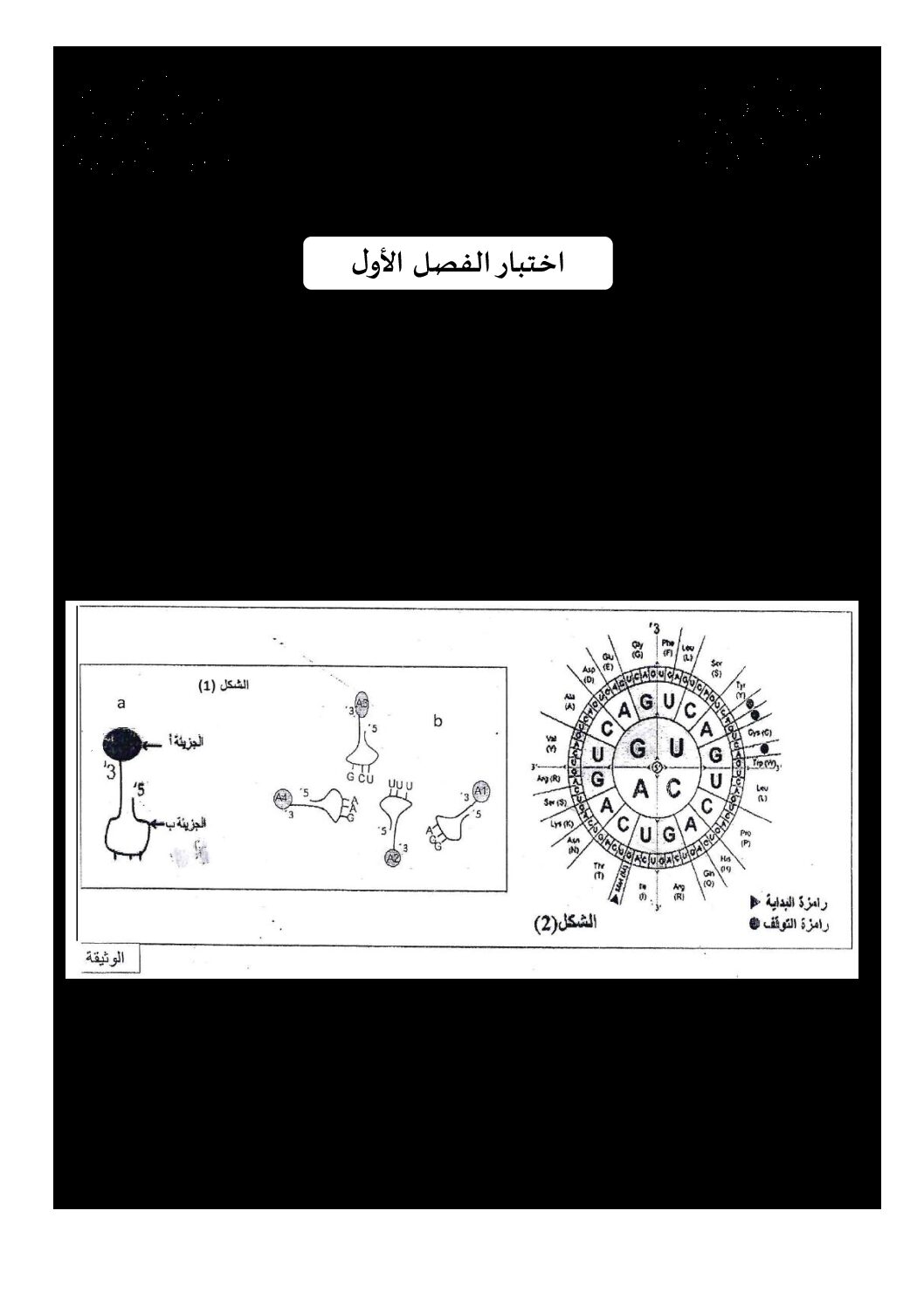 اختبار في العلوم الطبيعية الفصل الأول السنة الثالثة ثانوي علوم تجريبية رقم 58