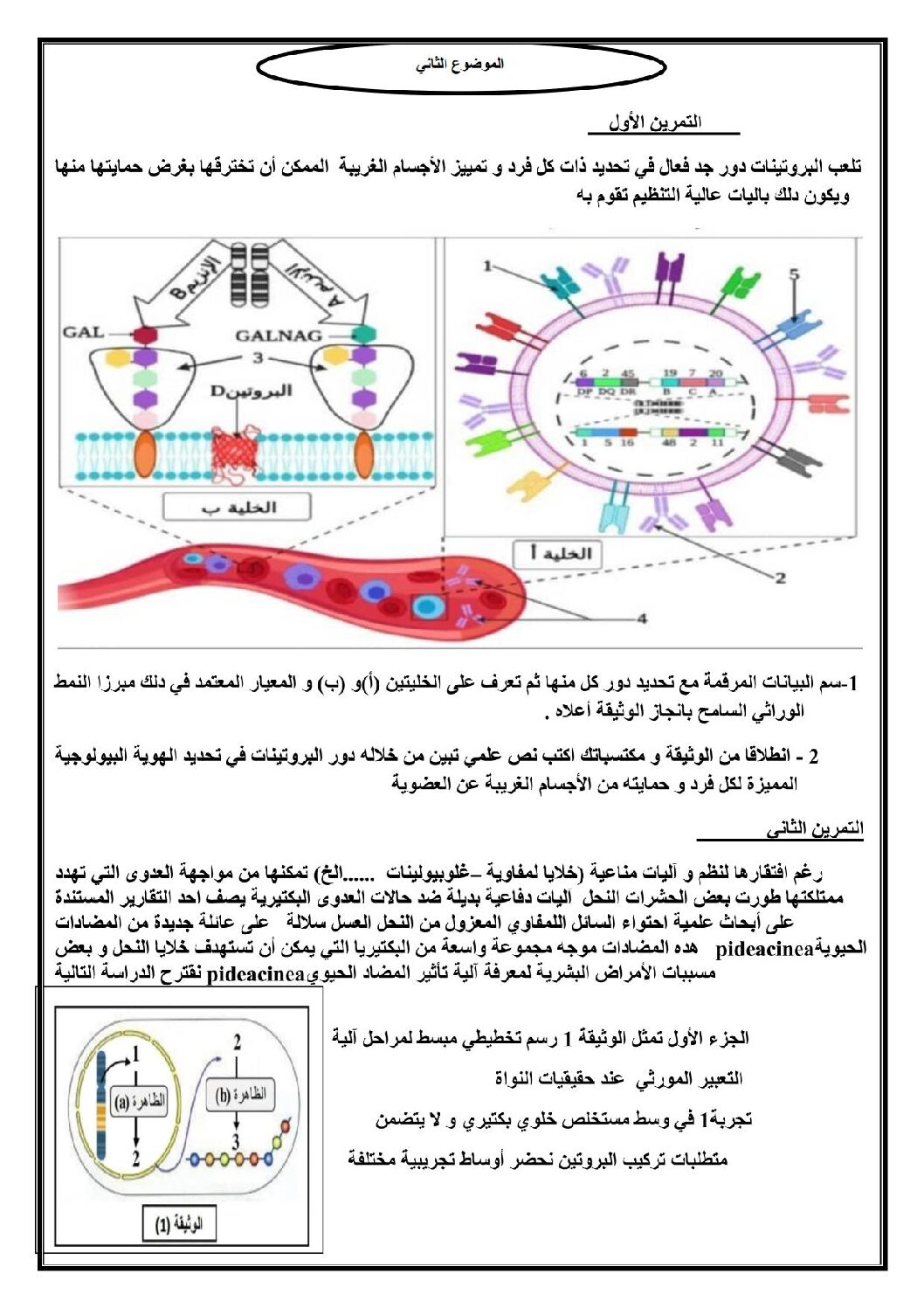 اختبار في العلوم الطبيعية الفصل الثالث السنة الثالثة ثانوي علوم تجريبية رقم 90 مع التصحيح