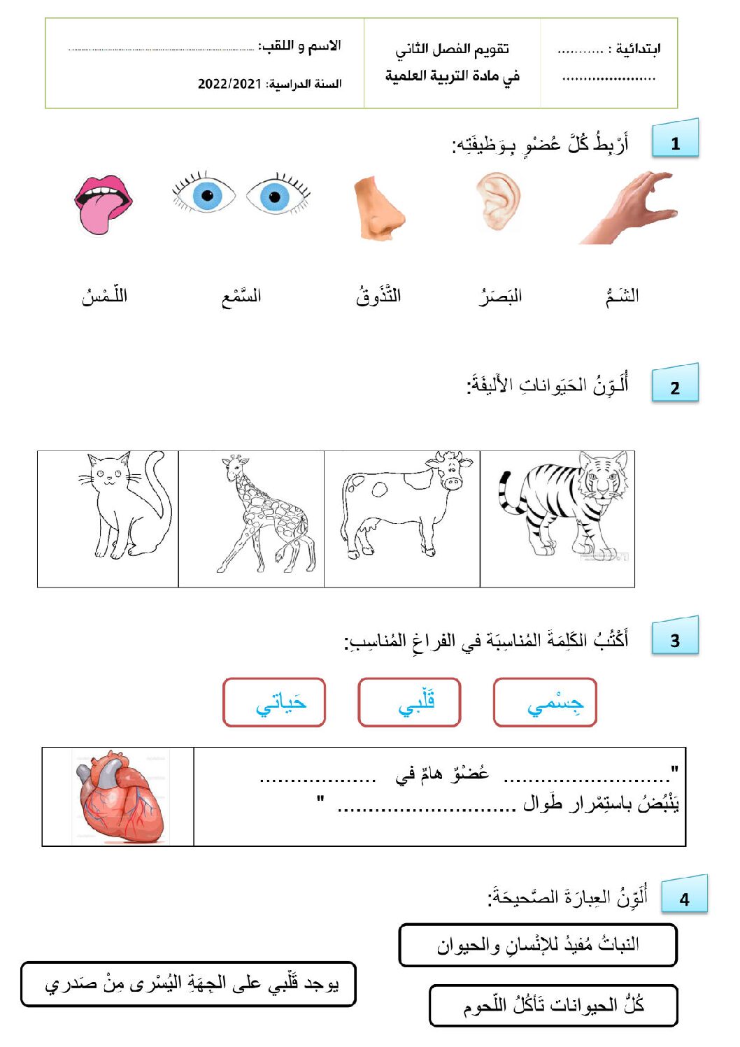 إختبار الفصل الثاني في التربية العلمية السنة الأولى ابتدائي رقم 60