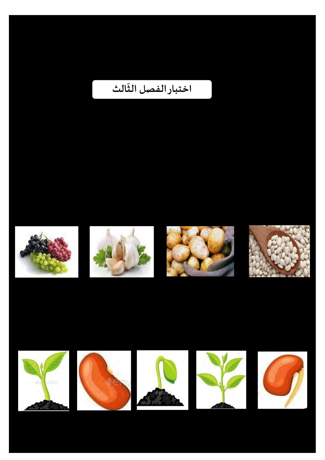 إختبار الفصل الثالث في التربية العلمية السنة الثالثة ابتدائي رقم 29 مع التصحيح