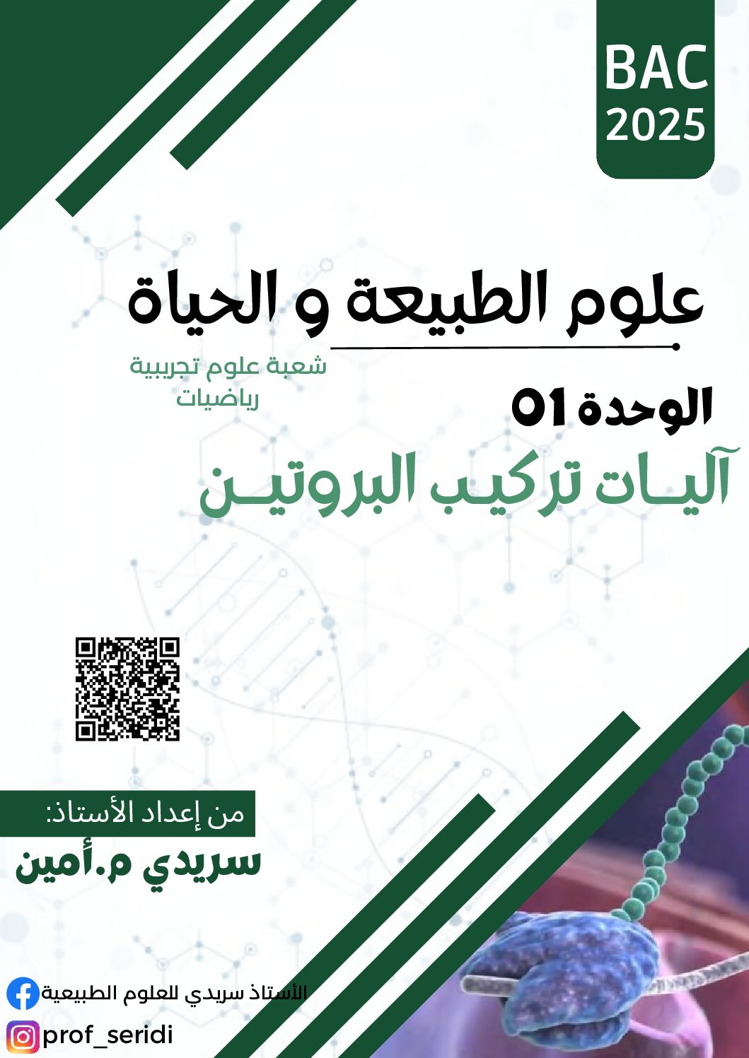 آلية تركيب البروتين للأستاذ سريدي محمد أمين 3 ثانوي