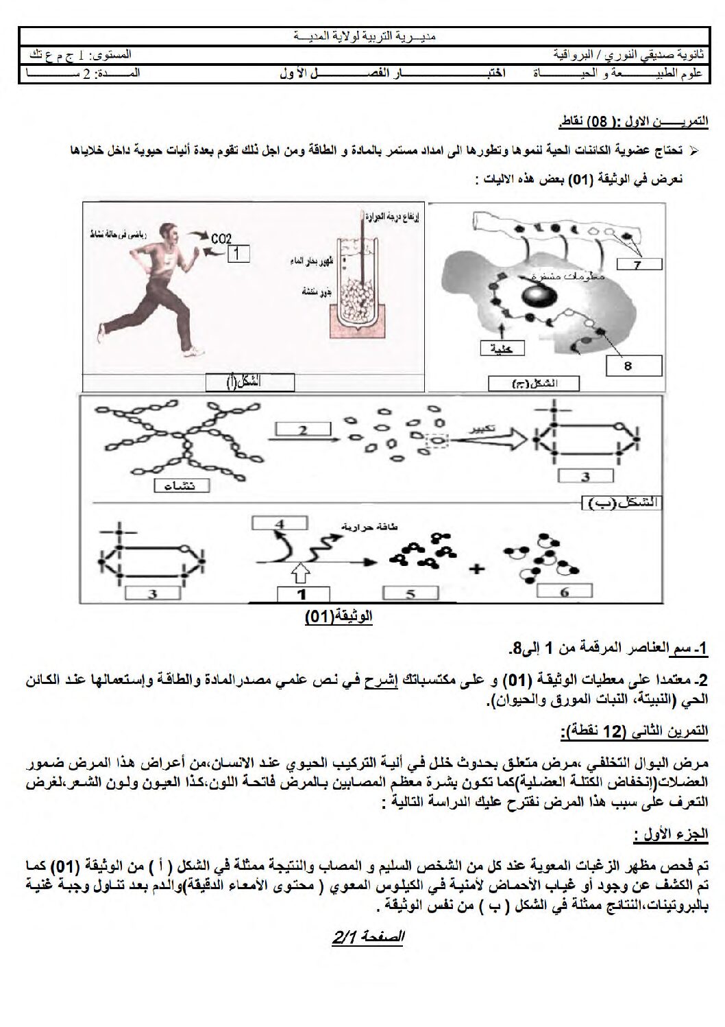 اختبار في العلوم الطبيعية الفصل الأول السنة الأولى ثانوي رقم 61