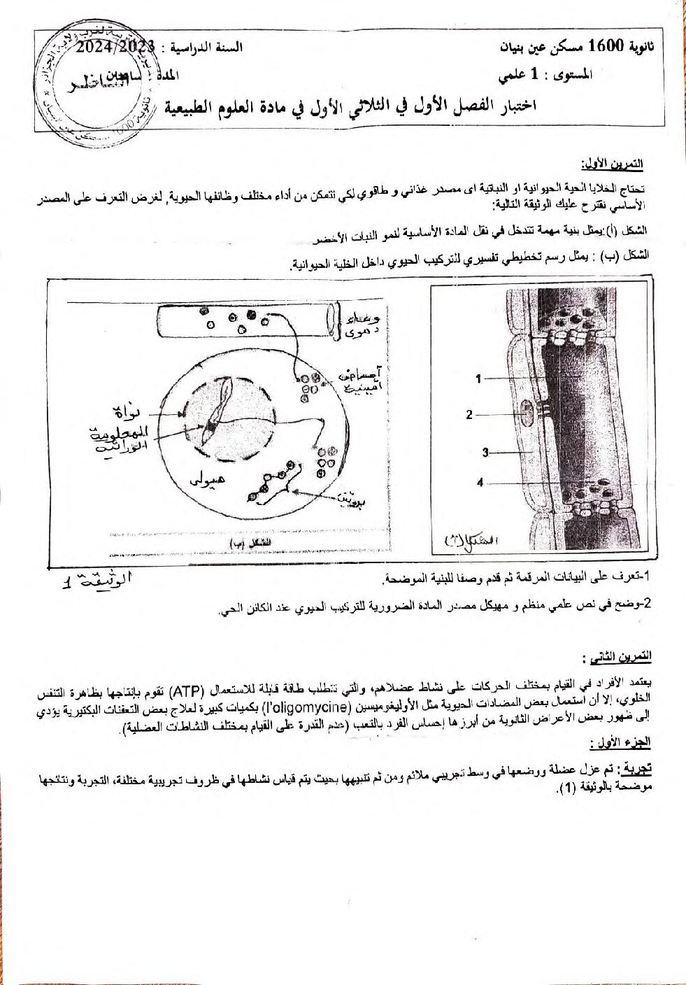 اختبار في العلوم الطبيعية الفصل الأول السنة الأولى ثانوي رقم 63