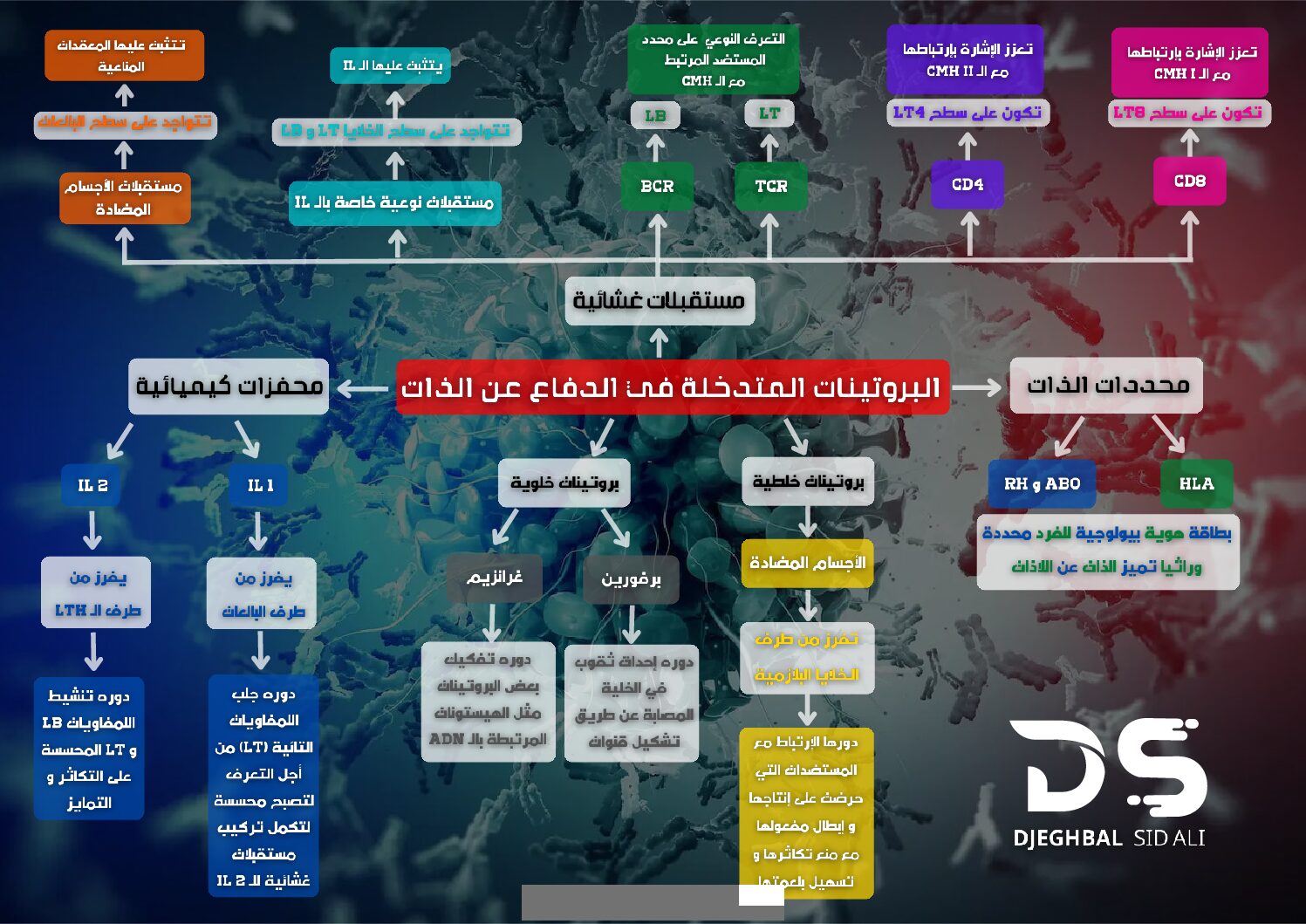 بطاقة البروتينات المتدخلة في الدفاع عن الذات للأستاذ جغبال سيد علي 3 ثانوي