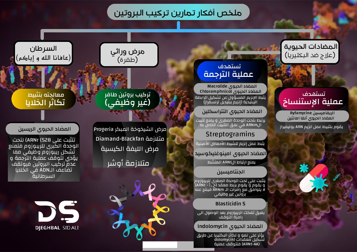 بطاقة ملخص أفكار تمارين تركيب البروتين للأستاذ جغبال سيد علي 3 ثانوي